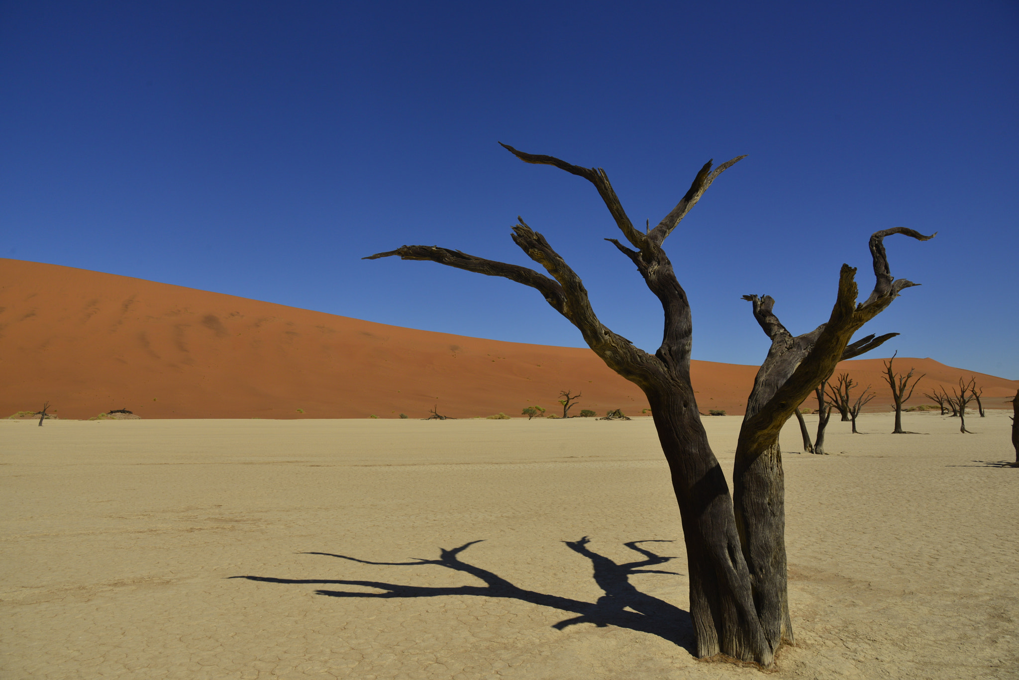 Nikon AF-S Nikkor 24-120mm F4G ED VR sample photo. The surreal dead vlei trees & shadows, sossusvlei  ... photography