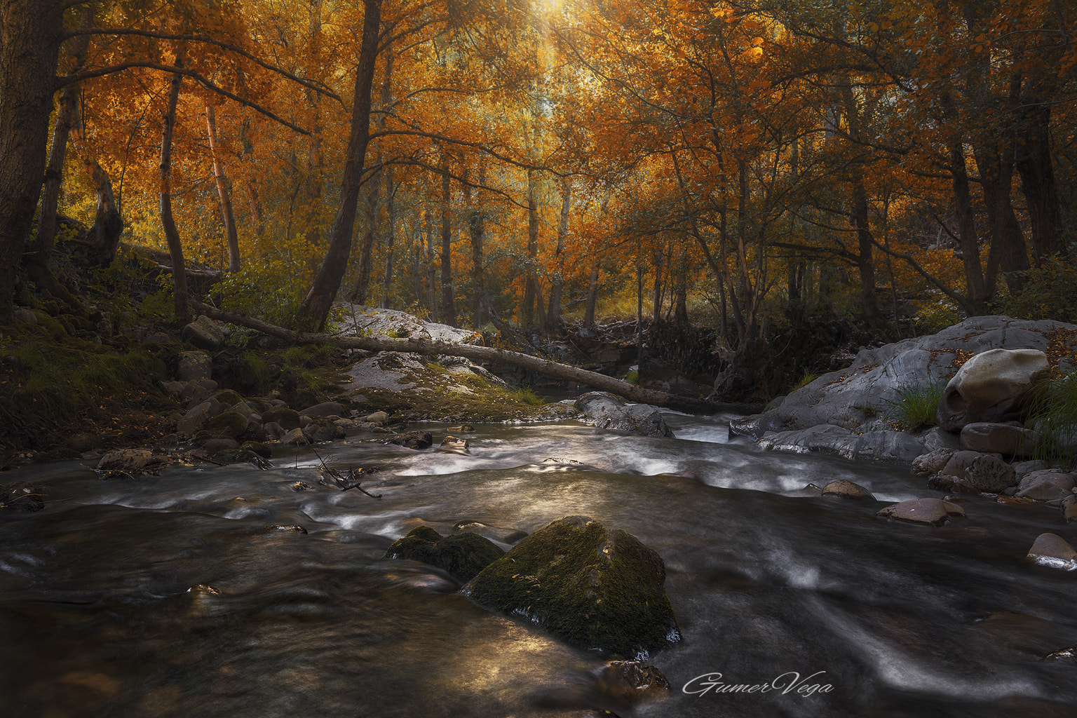 Canon EOS 5D sample photo. The fall photography