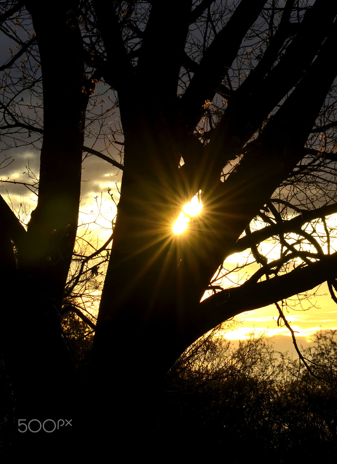 Nikon D5100 + Sigma 70-200mm F2.8 EX DG OS HSM sample photo. Sunset with a double starburst photography