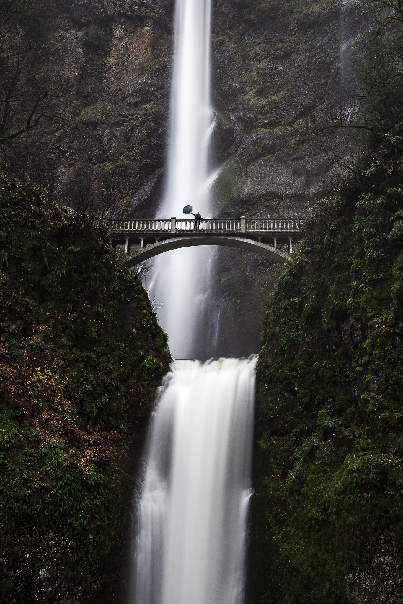 Canon EF 16-35mm F4L IS USM sample photo. Multnomah falls umbrella photography
