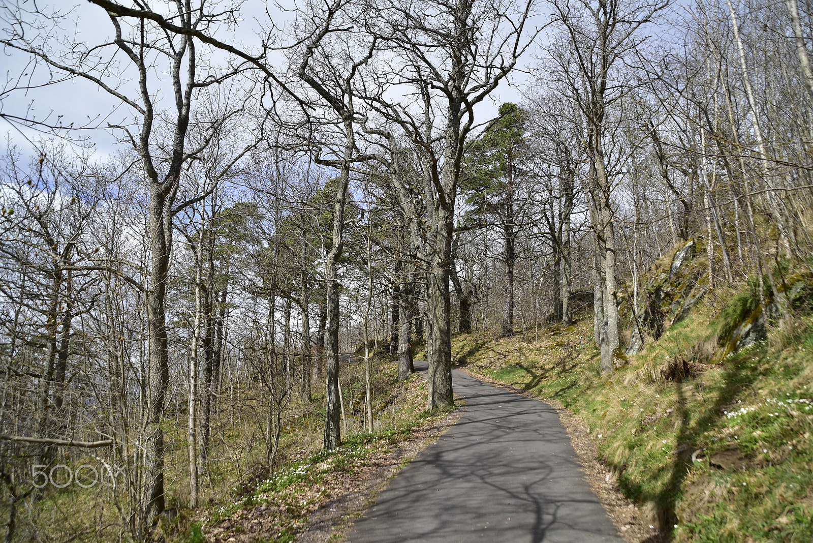 Nikon D5500 sample photo. Husqvarna photography