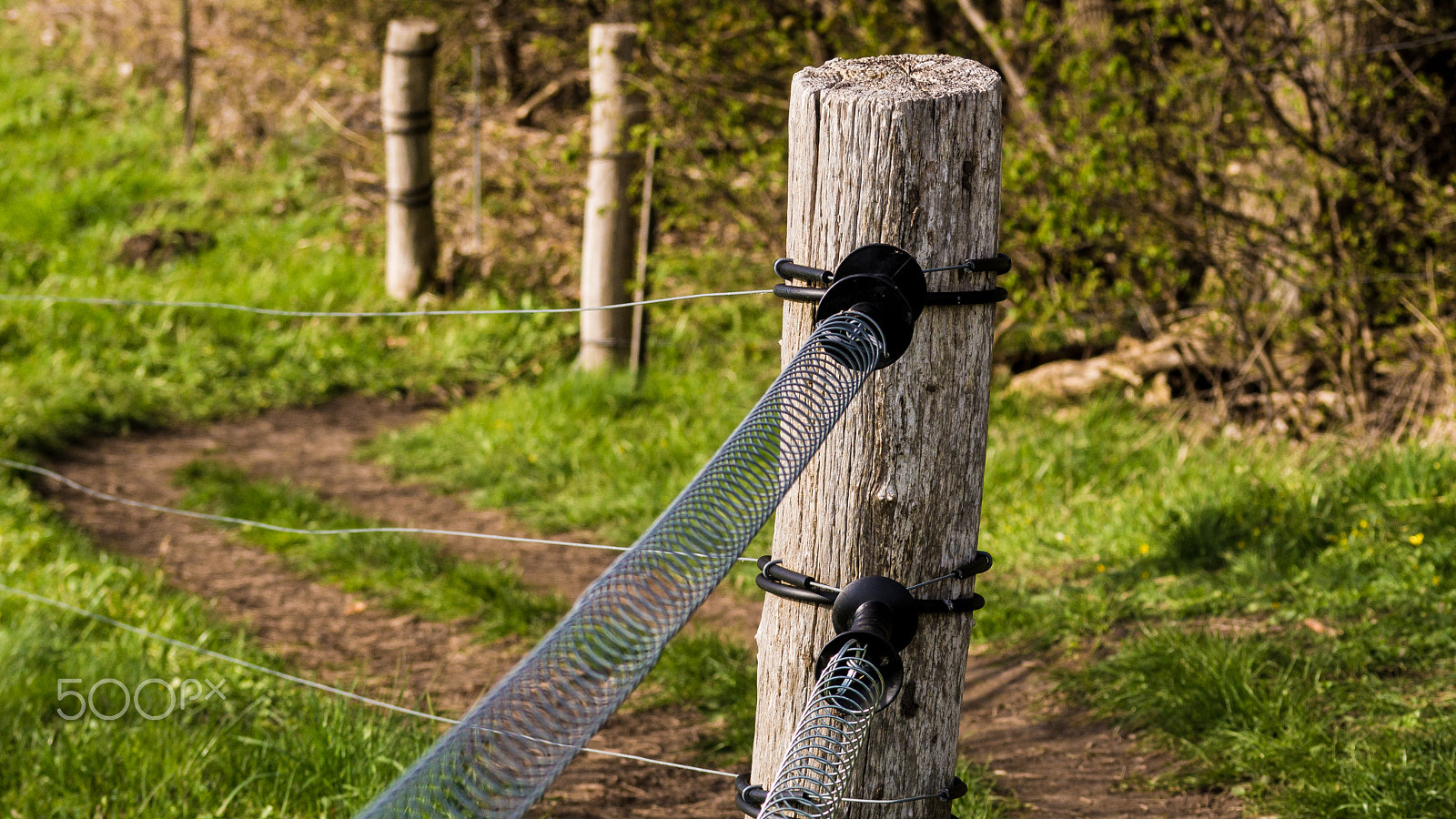 Sony 70-300mm F4.5-5.6 G SSM sample photo. Fence post photography