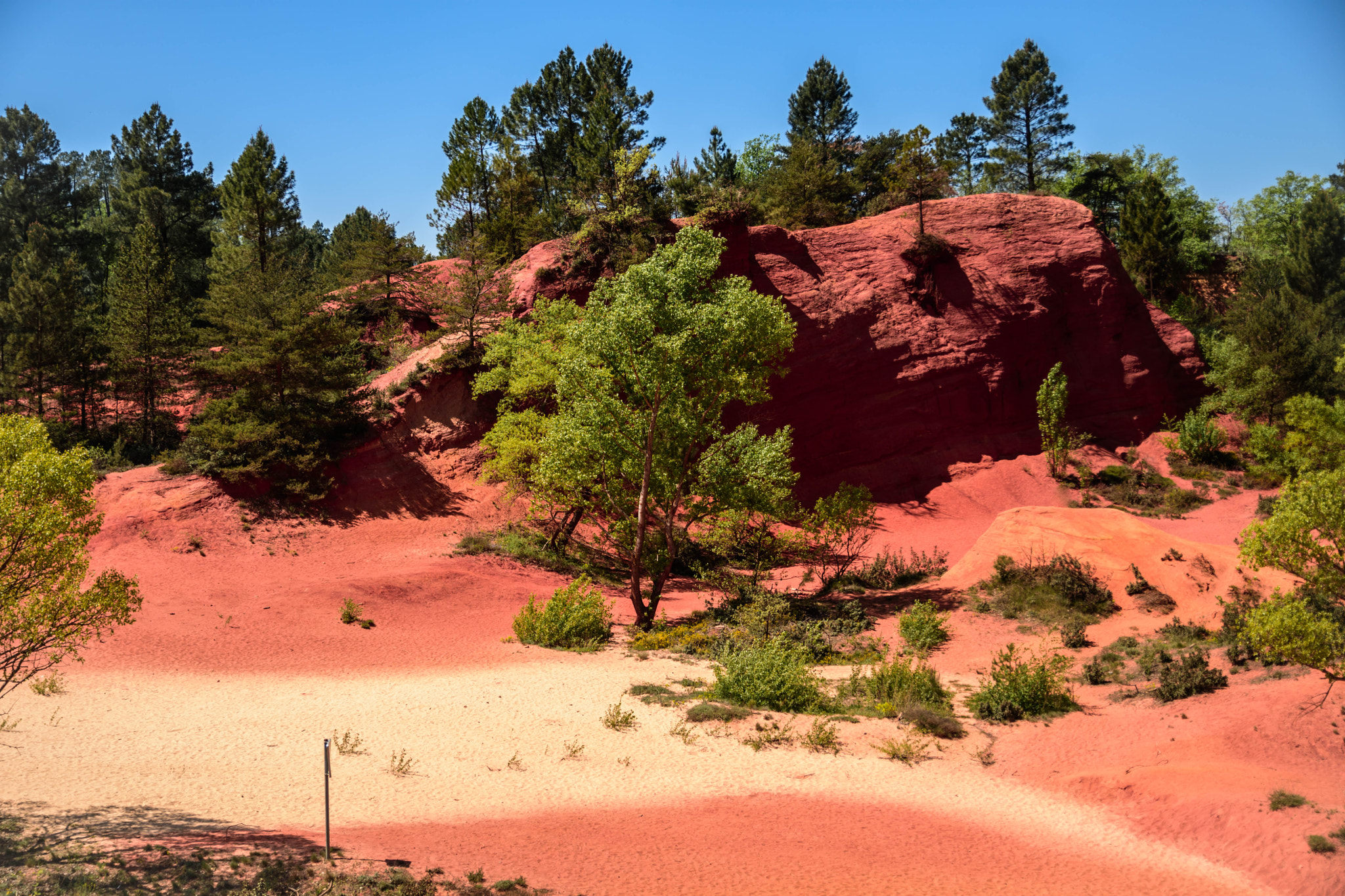 Nikon D7200 sample photo. Colorado provençal photography