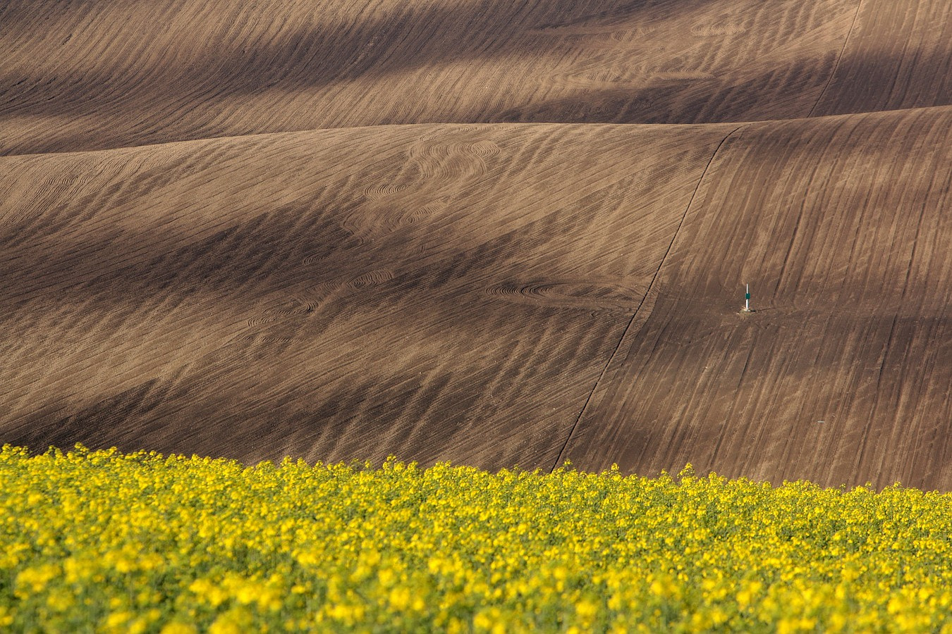 Canon EF 70-200mm F2.8L IS USM sample photo. Moravian tuscany photography