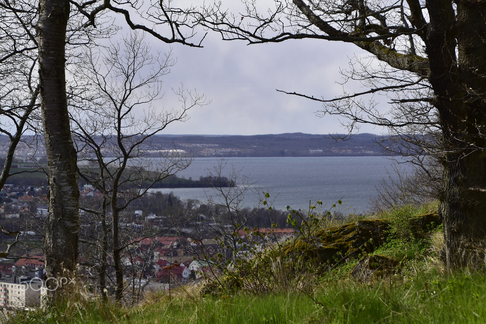 Nikon D5500 sample photo. Husqvarna photography