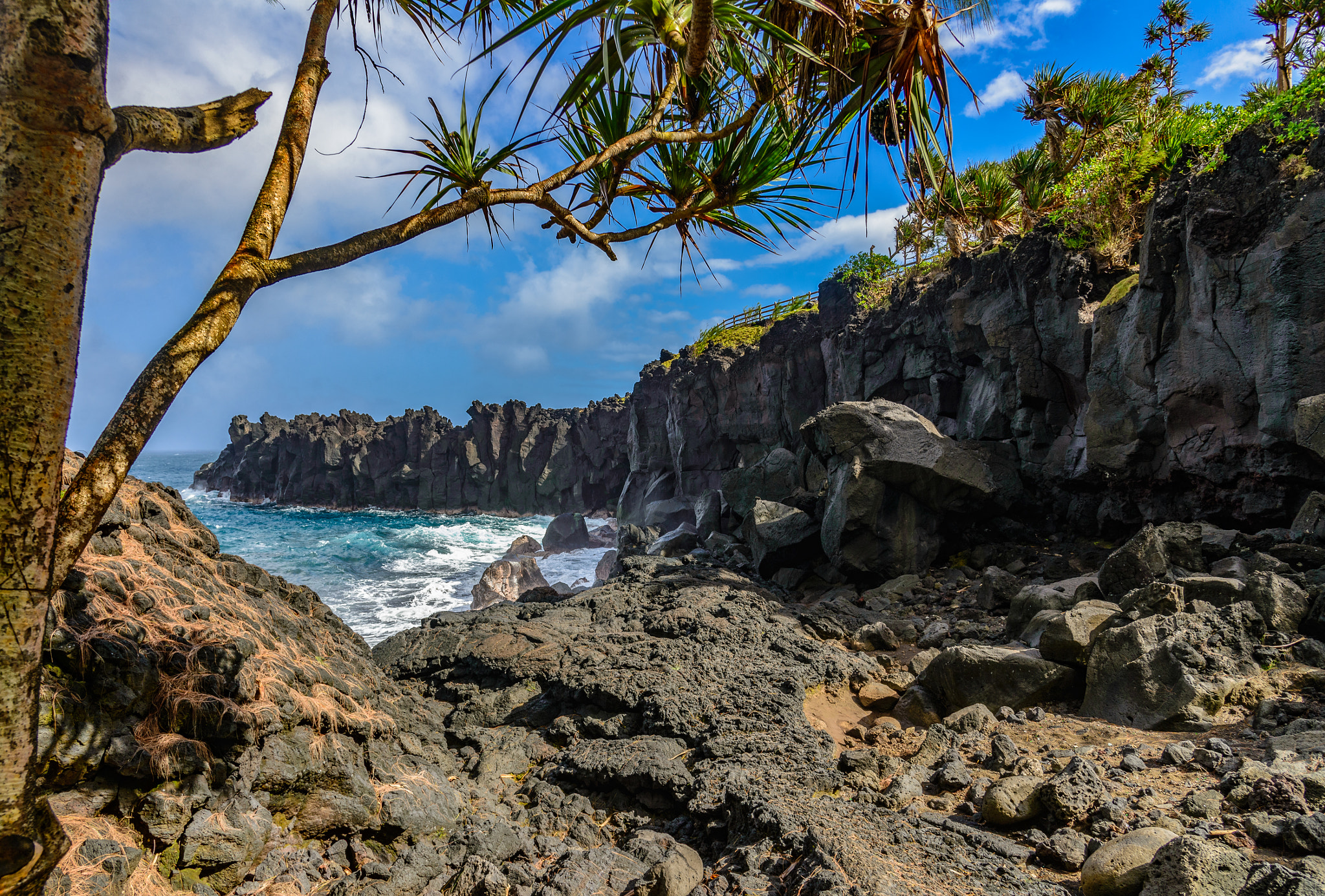 Nikon AF-S Nikkor 24-120mm F4G ED VR sample photo. Cap mechant in la reunion island photography