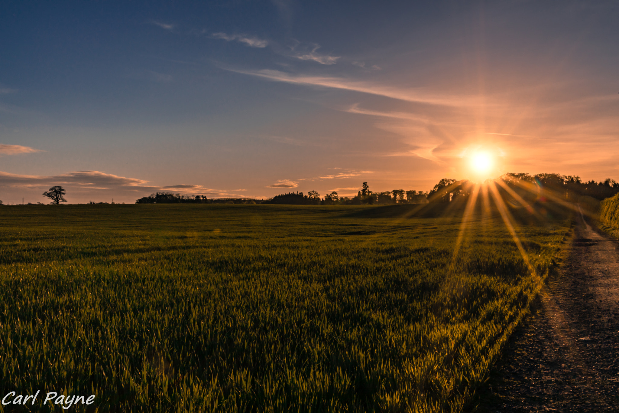 Canon EF 400mm f/2.8L sample photo. Sunset photography