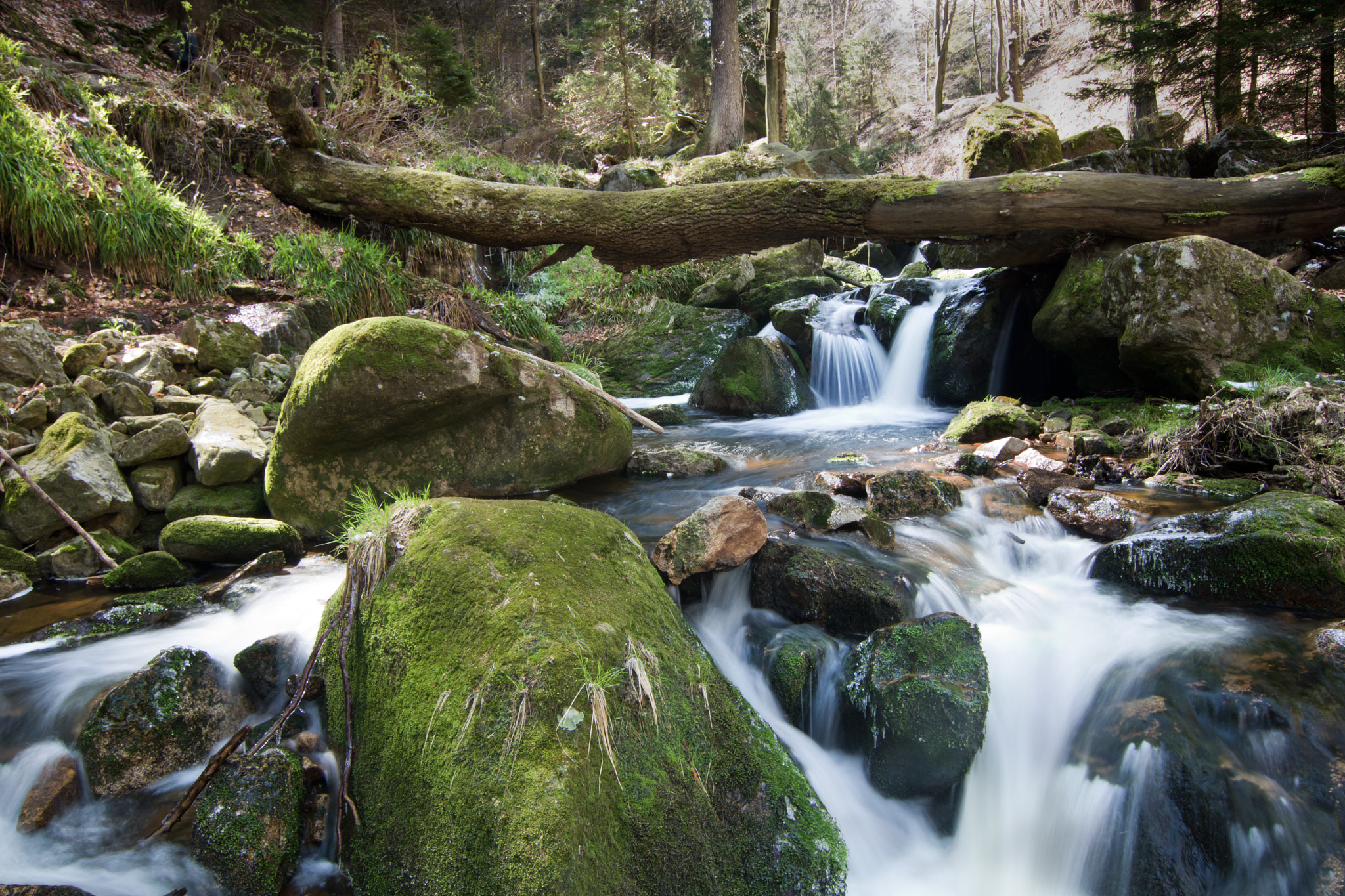 Canon EOS 750D (EOS Rebel T6i / EOS Kiss X8i) sample photo. Harz - germany photography