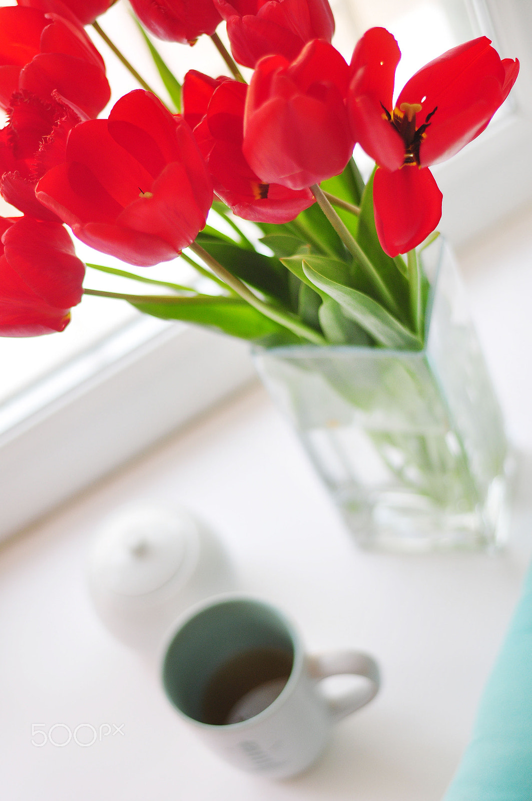 Nikon D90 sample photo. Red tulips photography