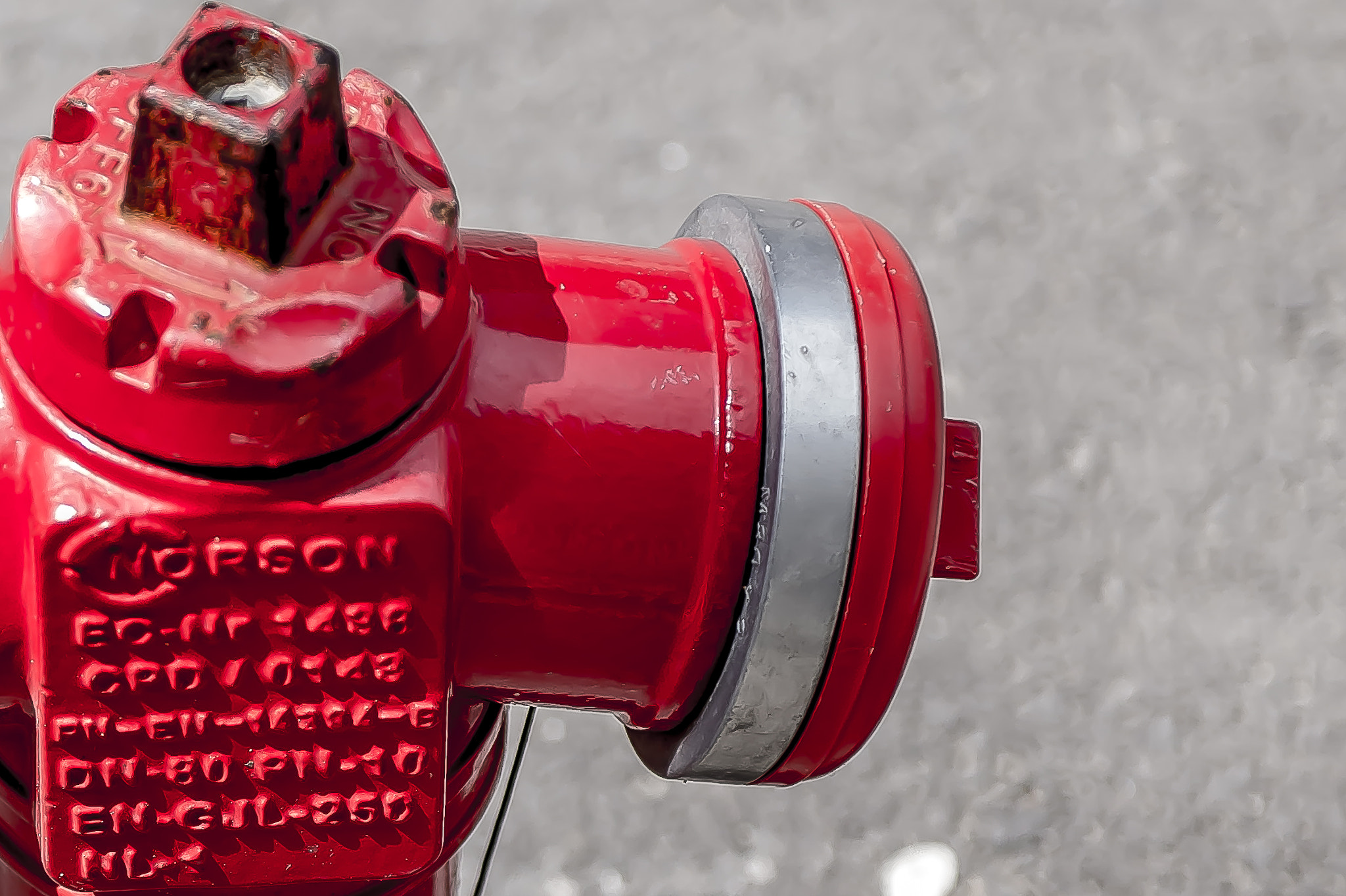 Nikon AF-S Nikkor 24-70mm F2.8G ED sample photo. Fire red photography