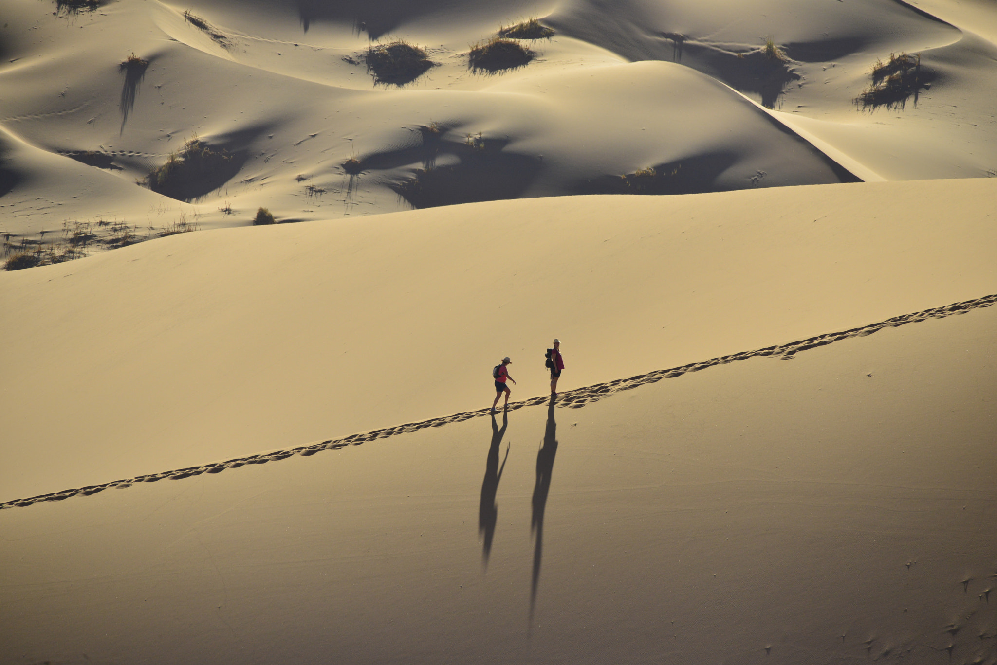 Nikon D800 + Sigma 150-500mm F5-6.3 DG OS HSM sample photo. Shadows of my fellow trekkers on the way up to the ... photography