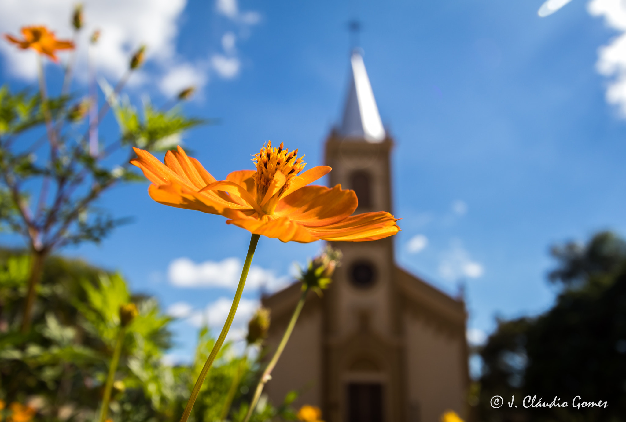 Canon EOS 80D sample photo. Church's flowers photography