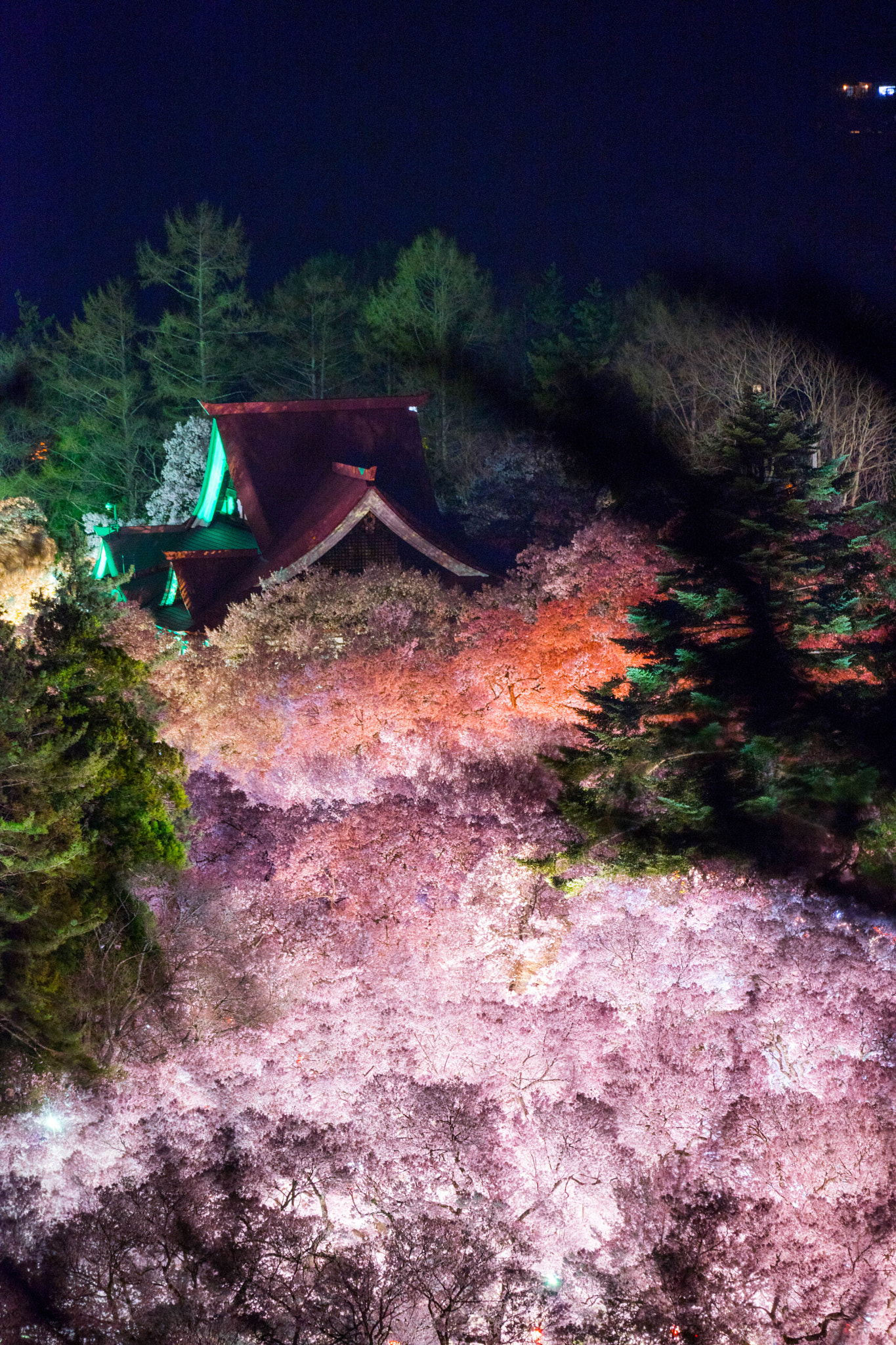 Sony FE 70-300mm F4.5-5.6 G OSS sample photo. 高遠城址公園 桜 photography