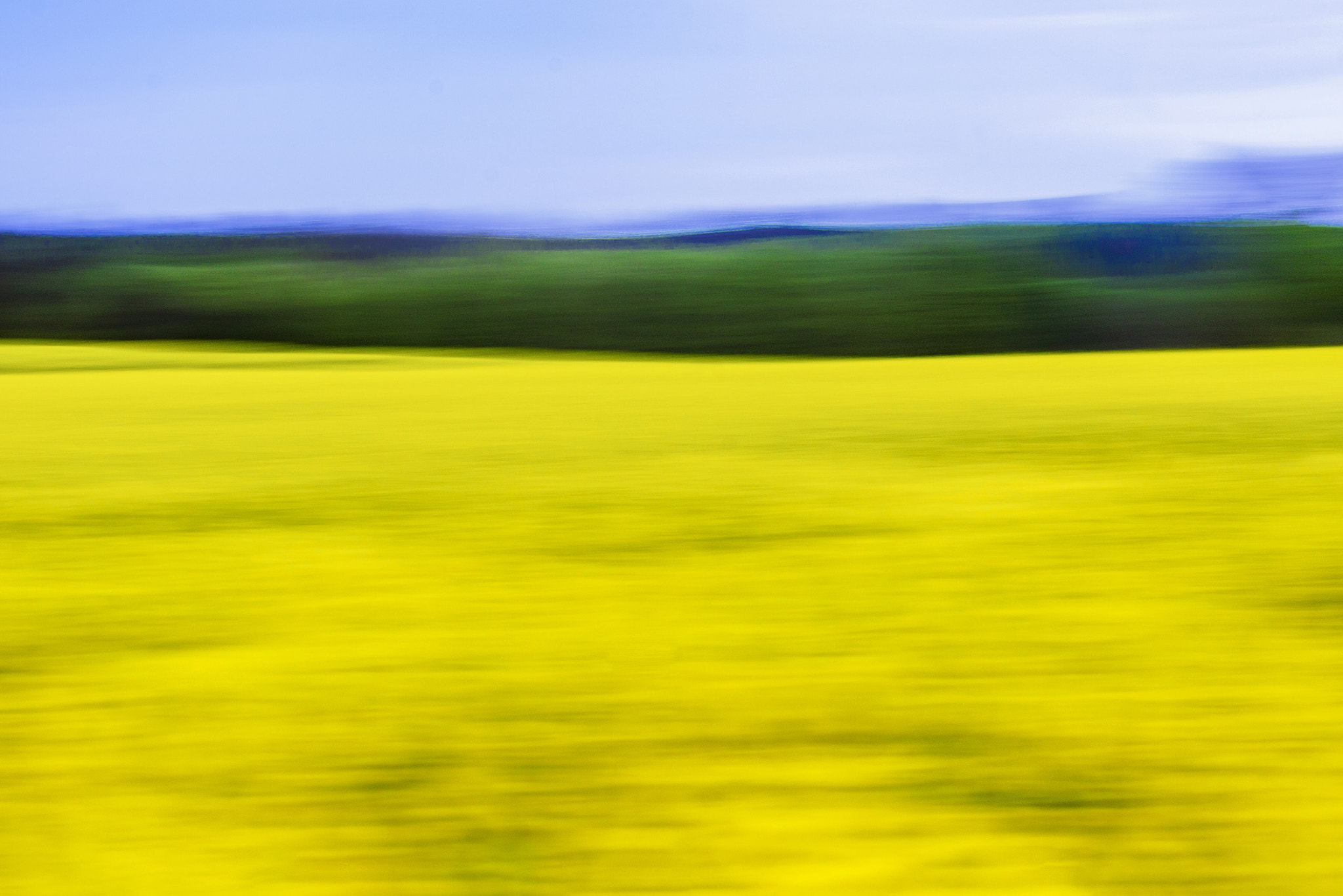 Canon EOS 450D (EOS Rebel XSi / EOS Kiss X2) sample photo. Rape blossom season photography