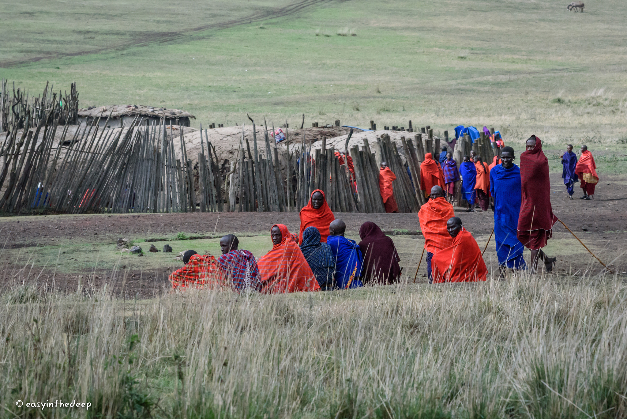 Nikon D750 sample photo. Masai settlement near ngorongoro. photography