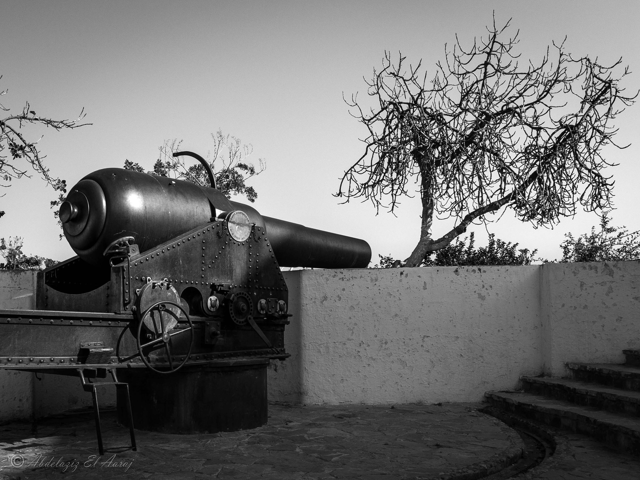Panasonic Lumix DMC-GH3 sample photo. Rml 10 inch gun - tnger photography