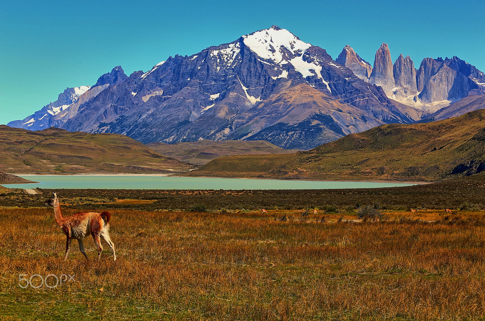 Canon EOS 6D + Canon EF 70-200mm F4L USM sample photo. Torres del paine from afar photography
