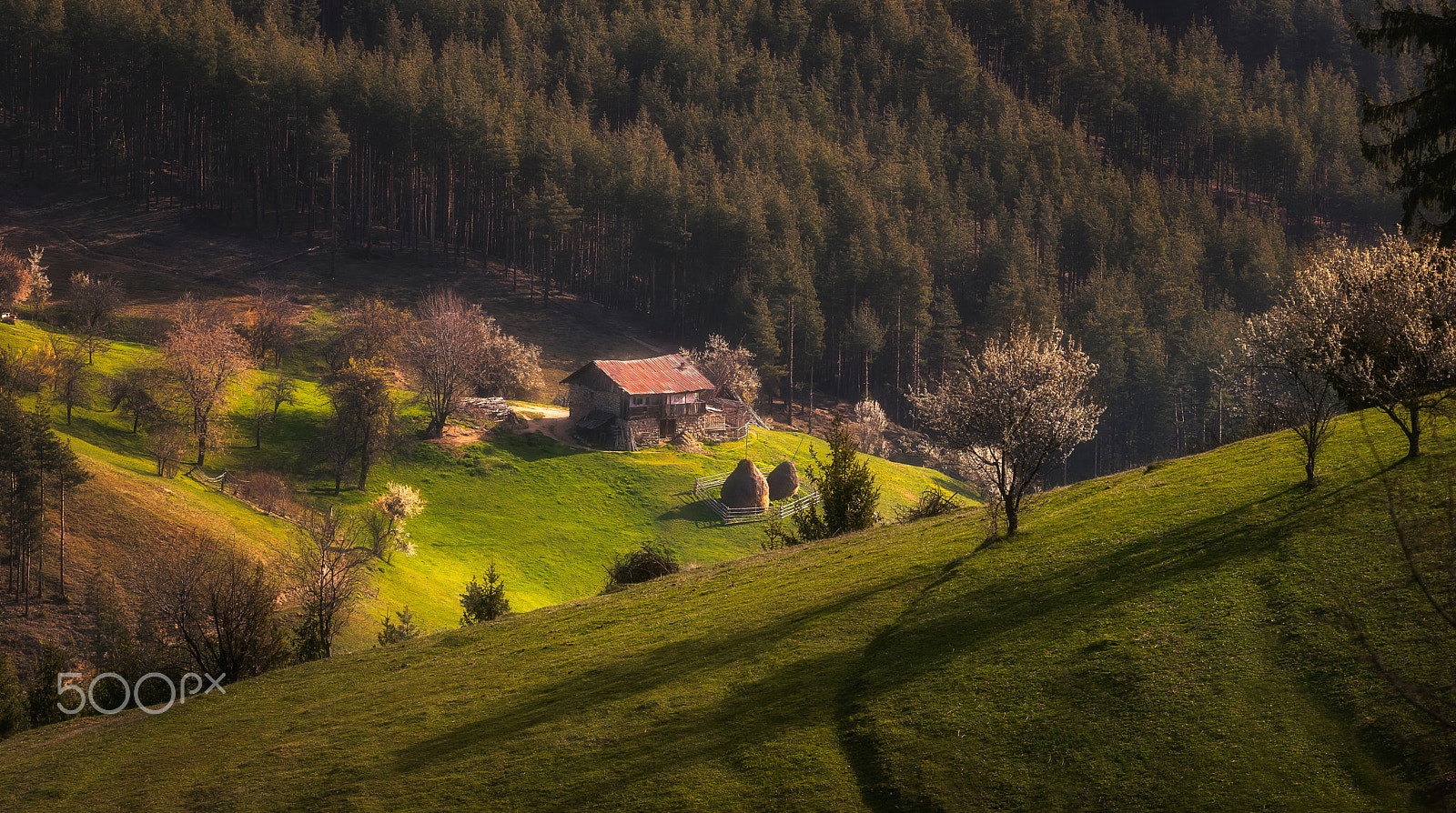 Canon EOS 80D + Canon EF 70-200mm F4L USM sample photo. Spring views in the rhodopes photography