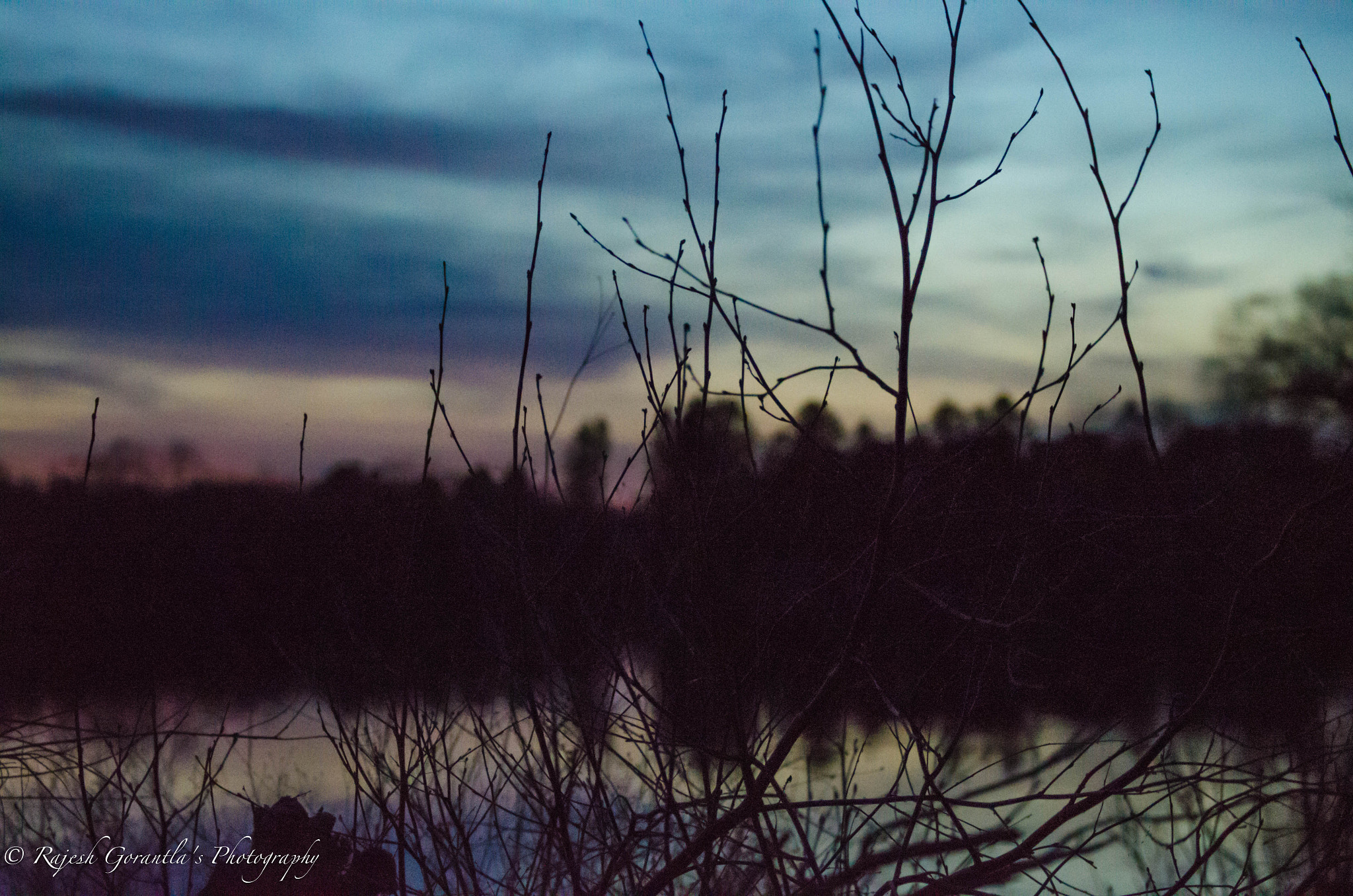 Nikon D5100 sample photo. Sunset over chauncey lake photography