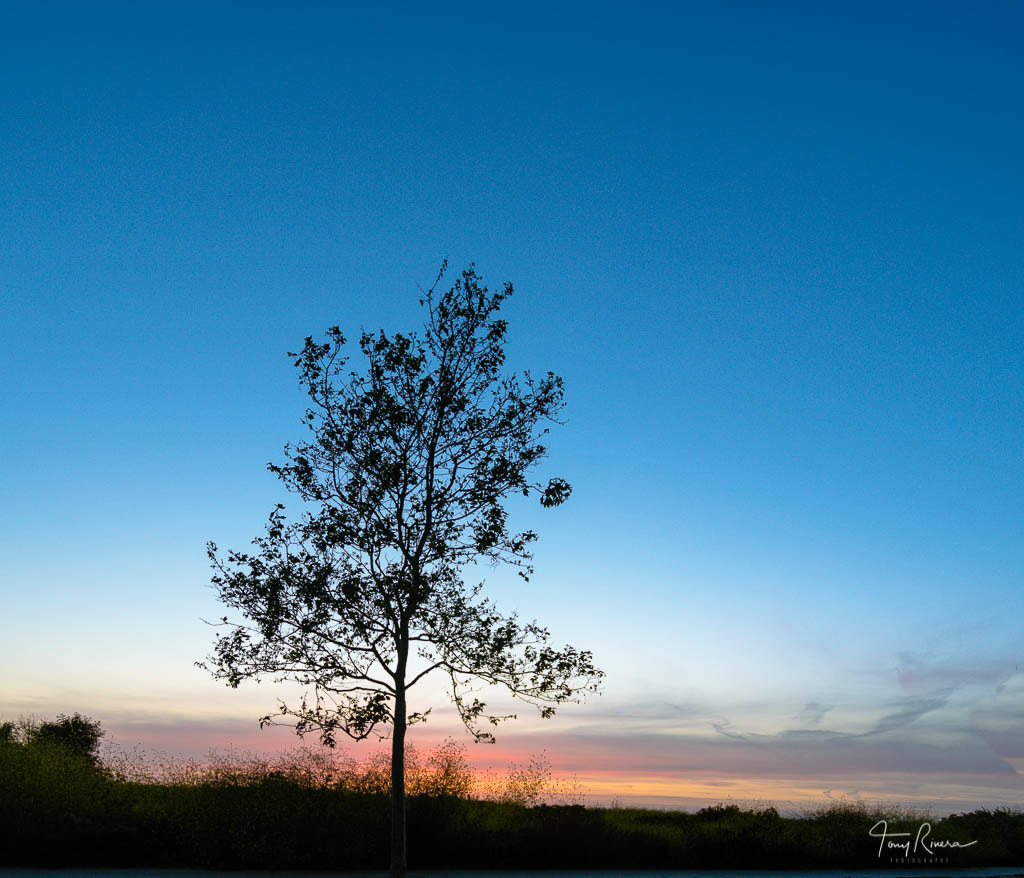 Nikon D7200 sample photo. Beautiful sky photography