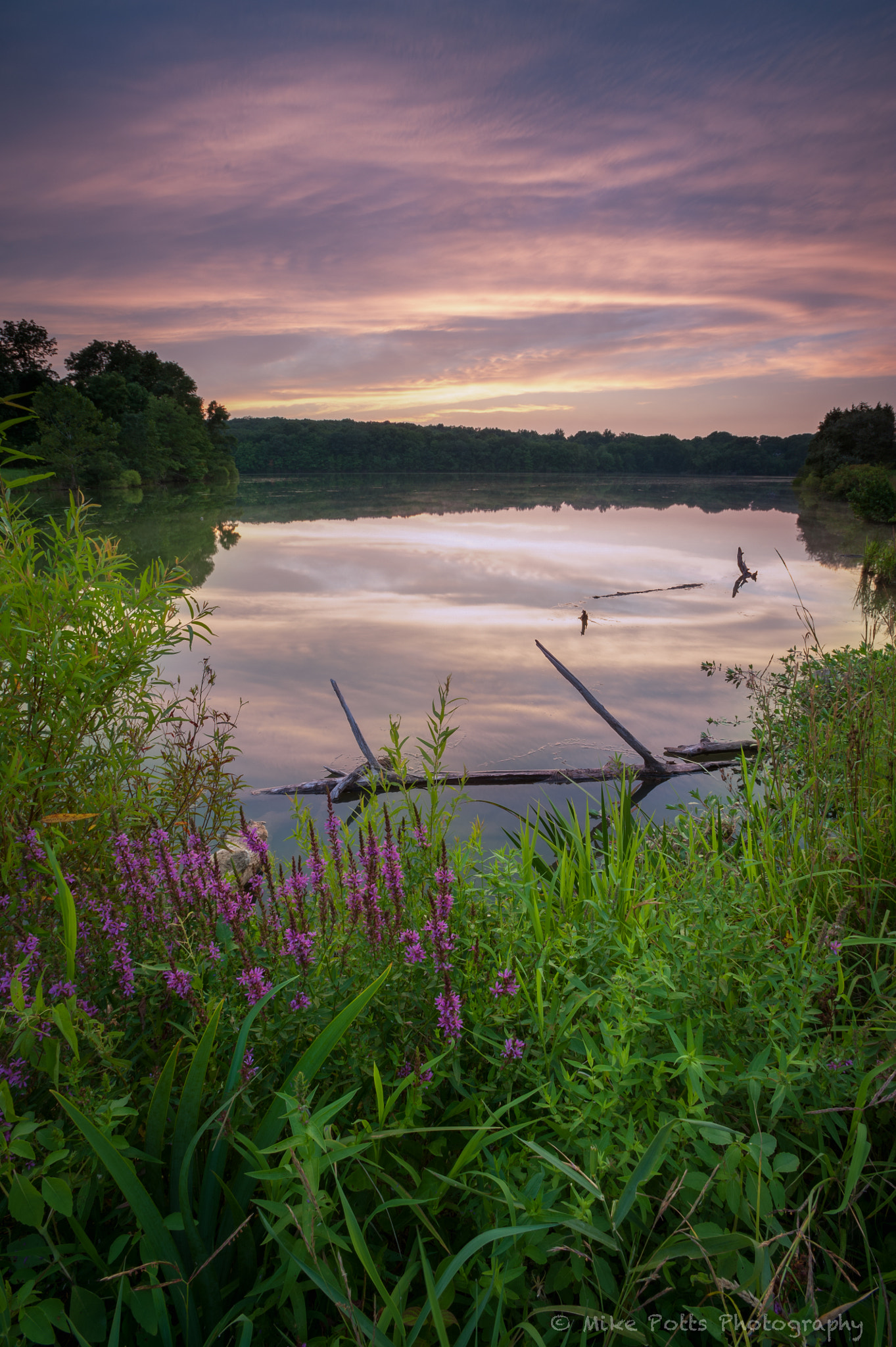 Nikon D700 sample photo. ~ green lane sunset ~ photography