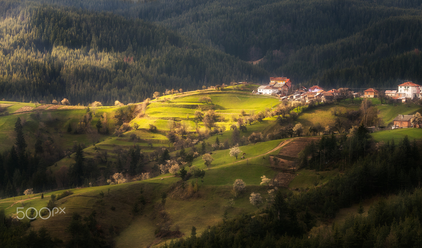 Canon EOS 80D + Canon EF 70-200mm F4L USM sample photo. Morning in the rhodopes, bulgaria photography