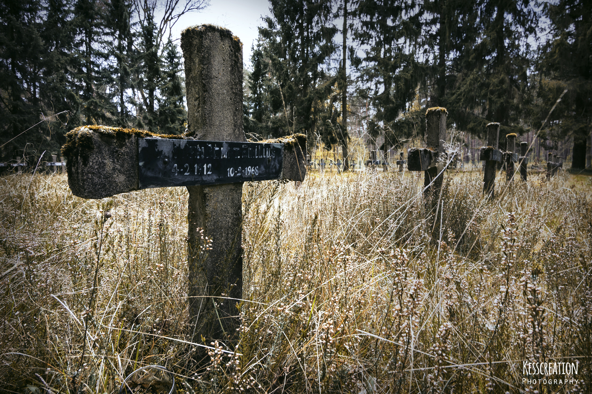 Nikon D7200 sample photo. Cemetery of the insane photography