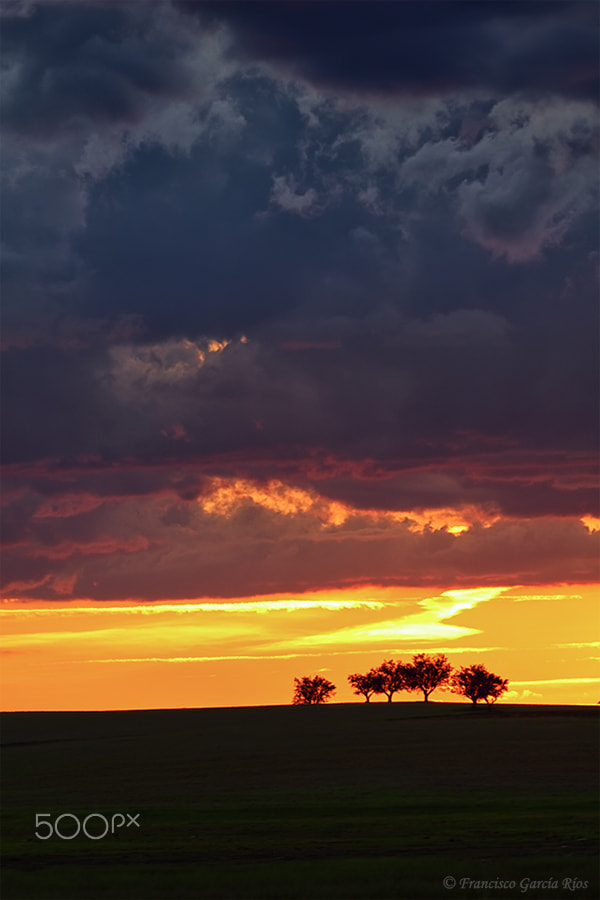 Canon EOS 50D + Canon EF 70-200mm F4L USM sample photo. When the night is on fire. photography