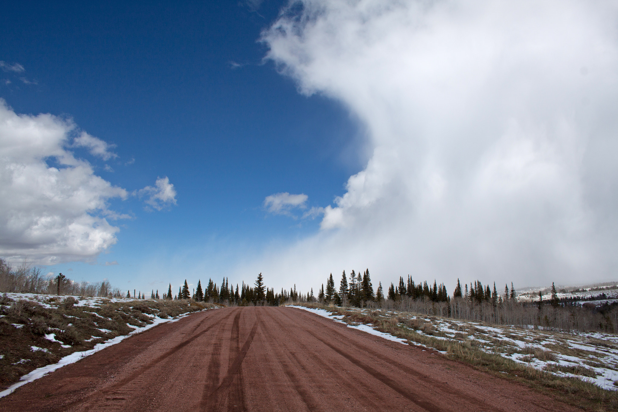 Canon EF-S 18-55mm F3.5-5.6 II sample photo. Forest road photography