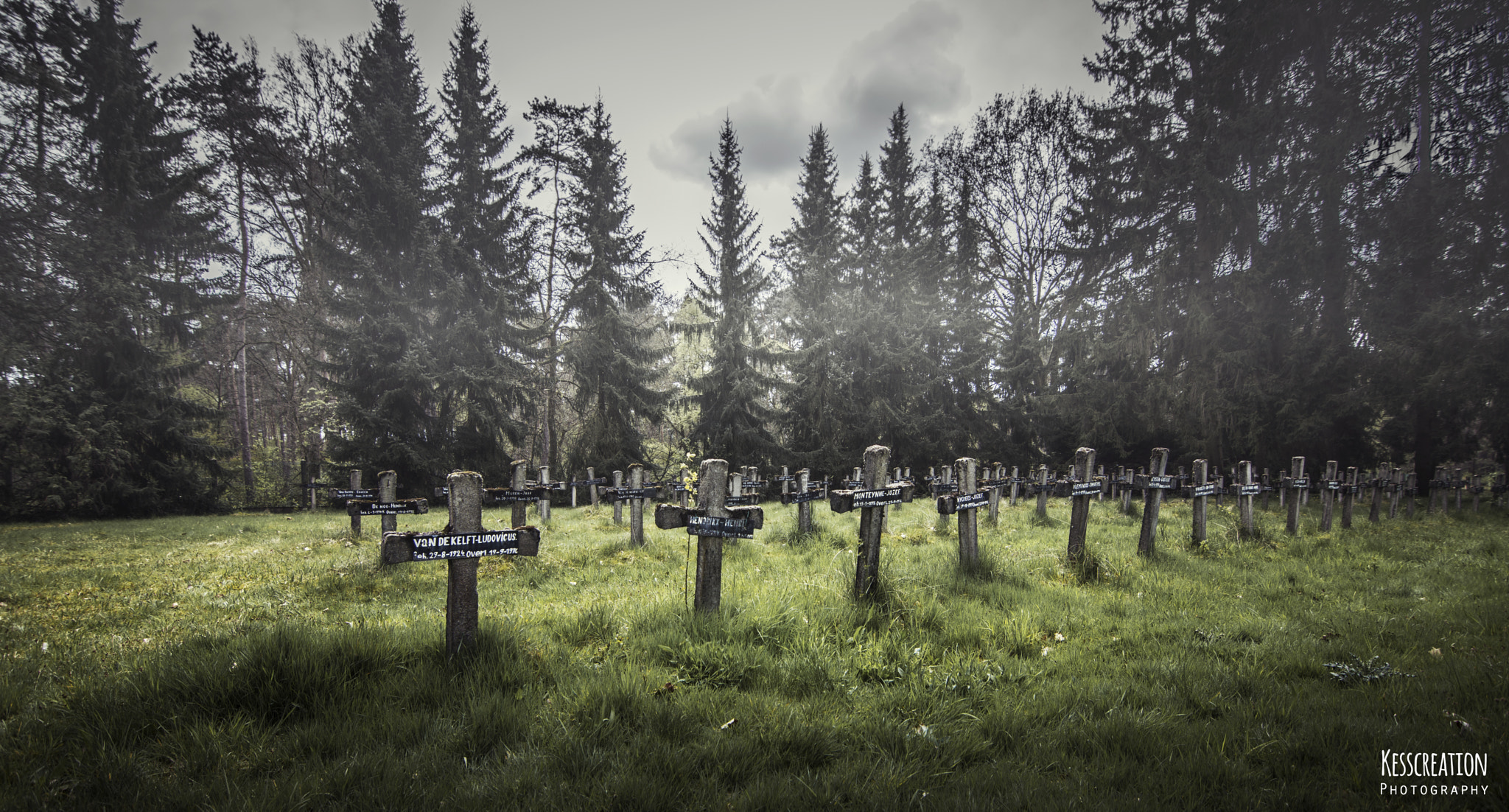 Nikon D7200 sample photo. Cemetery of the insane photography
