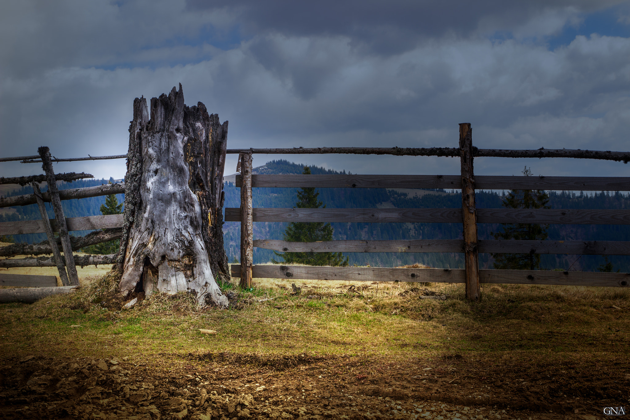 Canon EF-S 17-55mm F2.8 IS USM sample photo. Gyimes photography