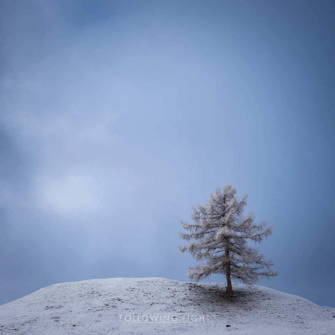 Olympus OM-D E-M1 Mark II + Olympus M.Zuiko Digital ED 12-40mm F2.8 Pro sample photo. Top of the hill photography