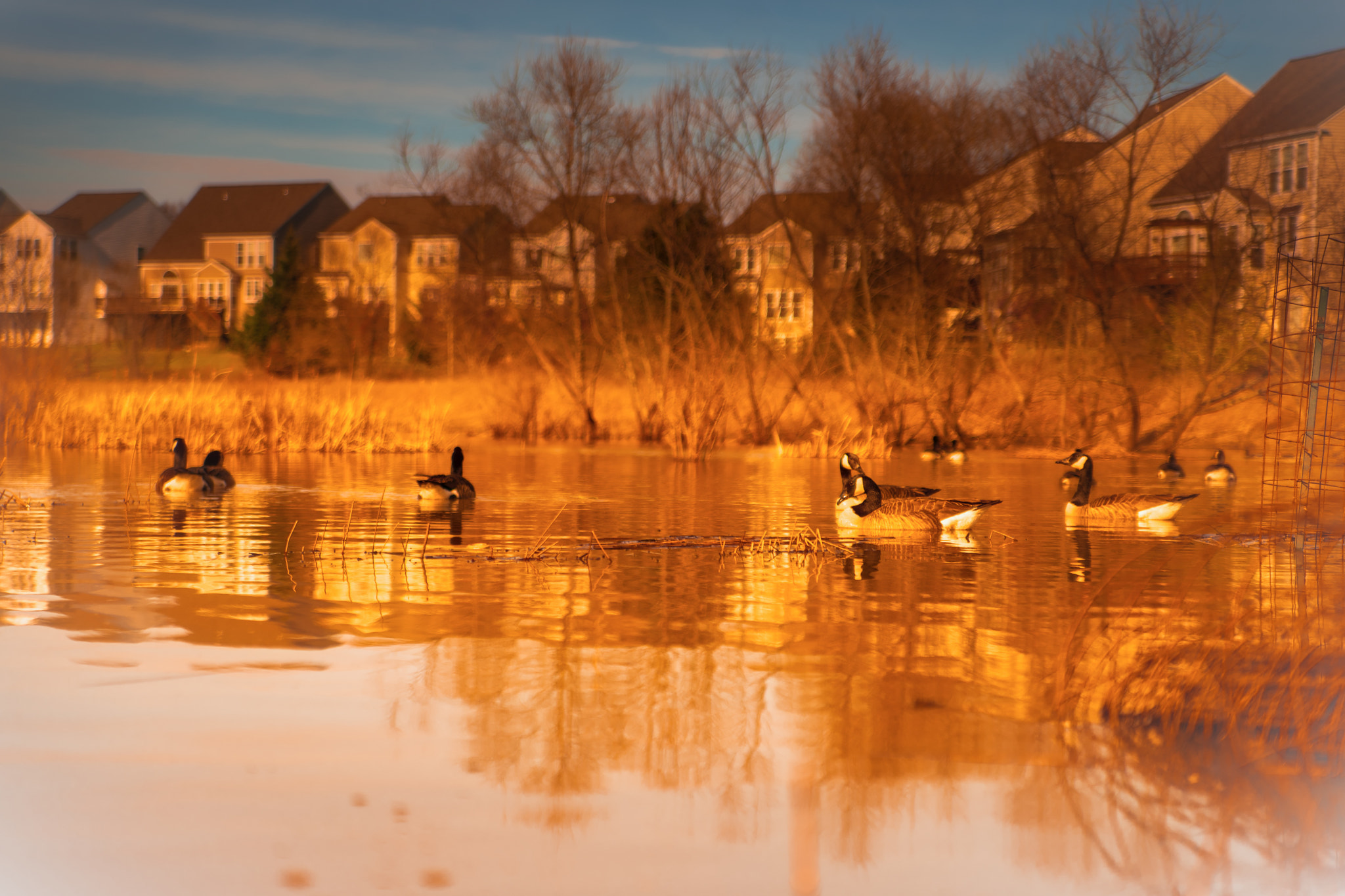 Sony a7 II + Tamron SP 24-70mm F2.8 Di VC USD sample photo. Golden hour photography