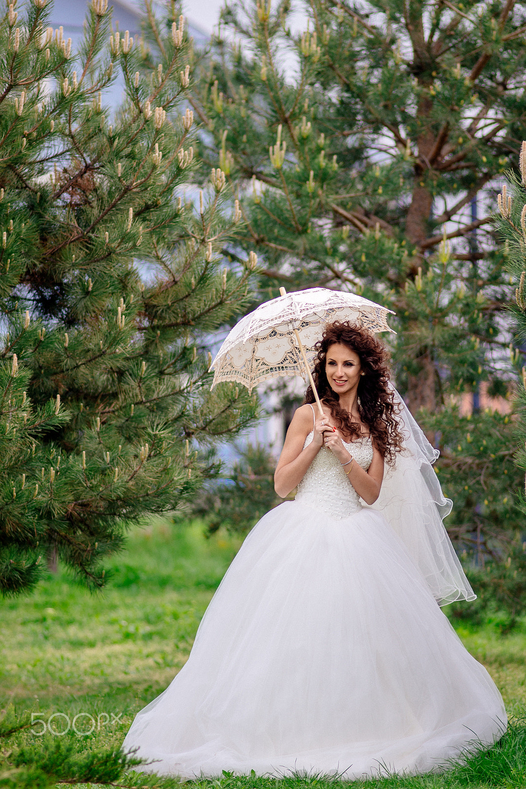 Nikon D610 sample photo. Bride photography