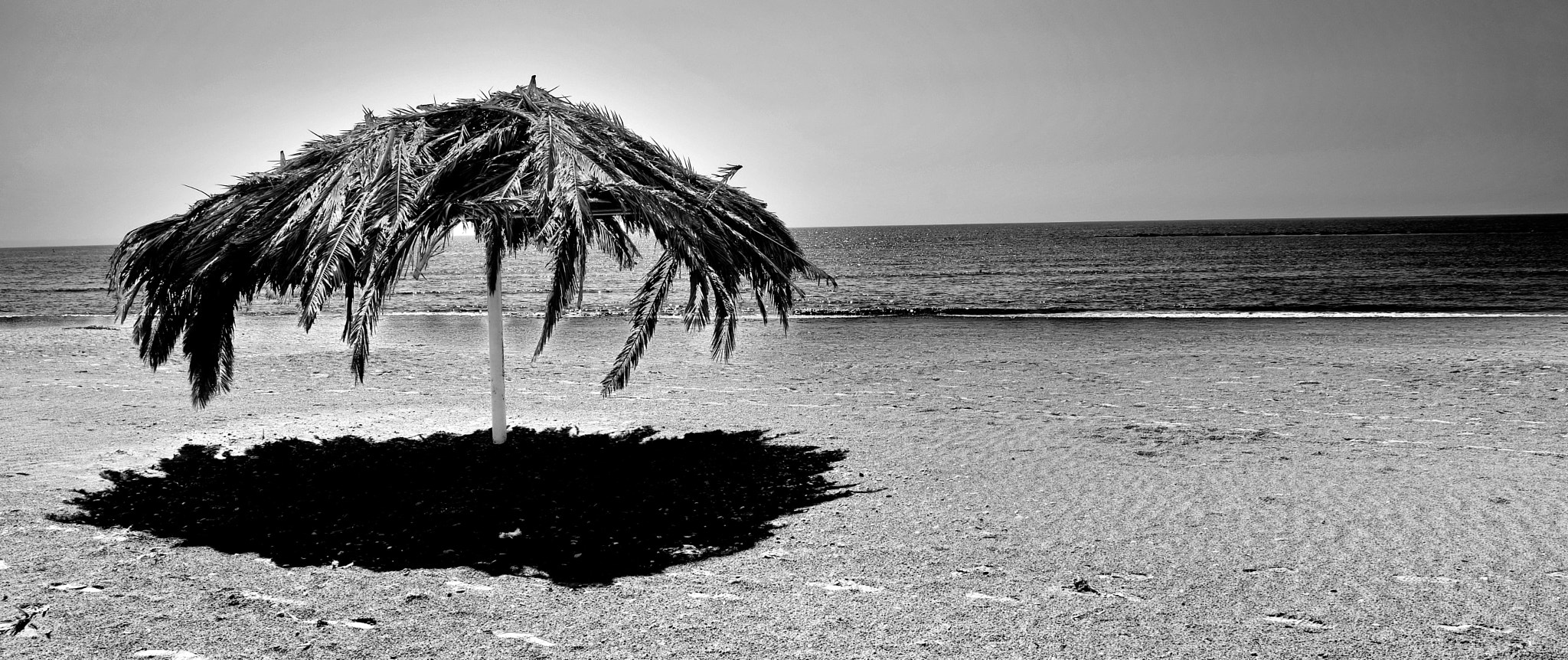 Nikon D500 sample photo. Beach photography