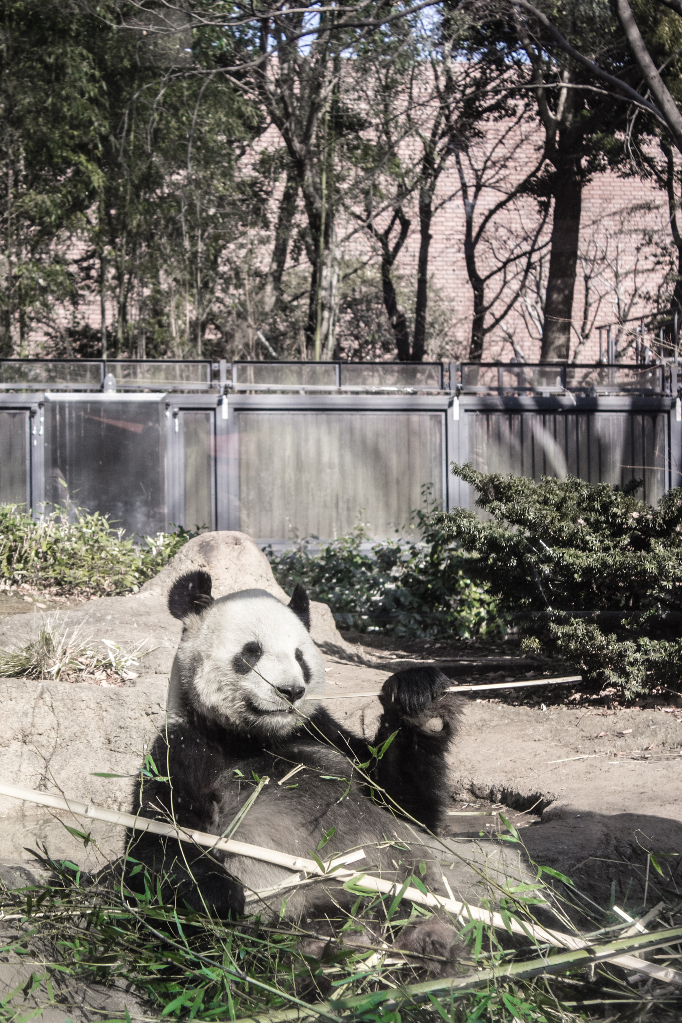 Canon EF-S 18-55mm F3.5-5.6 IS sample photo