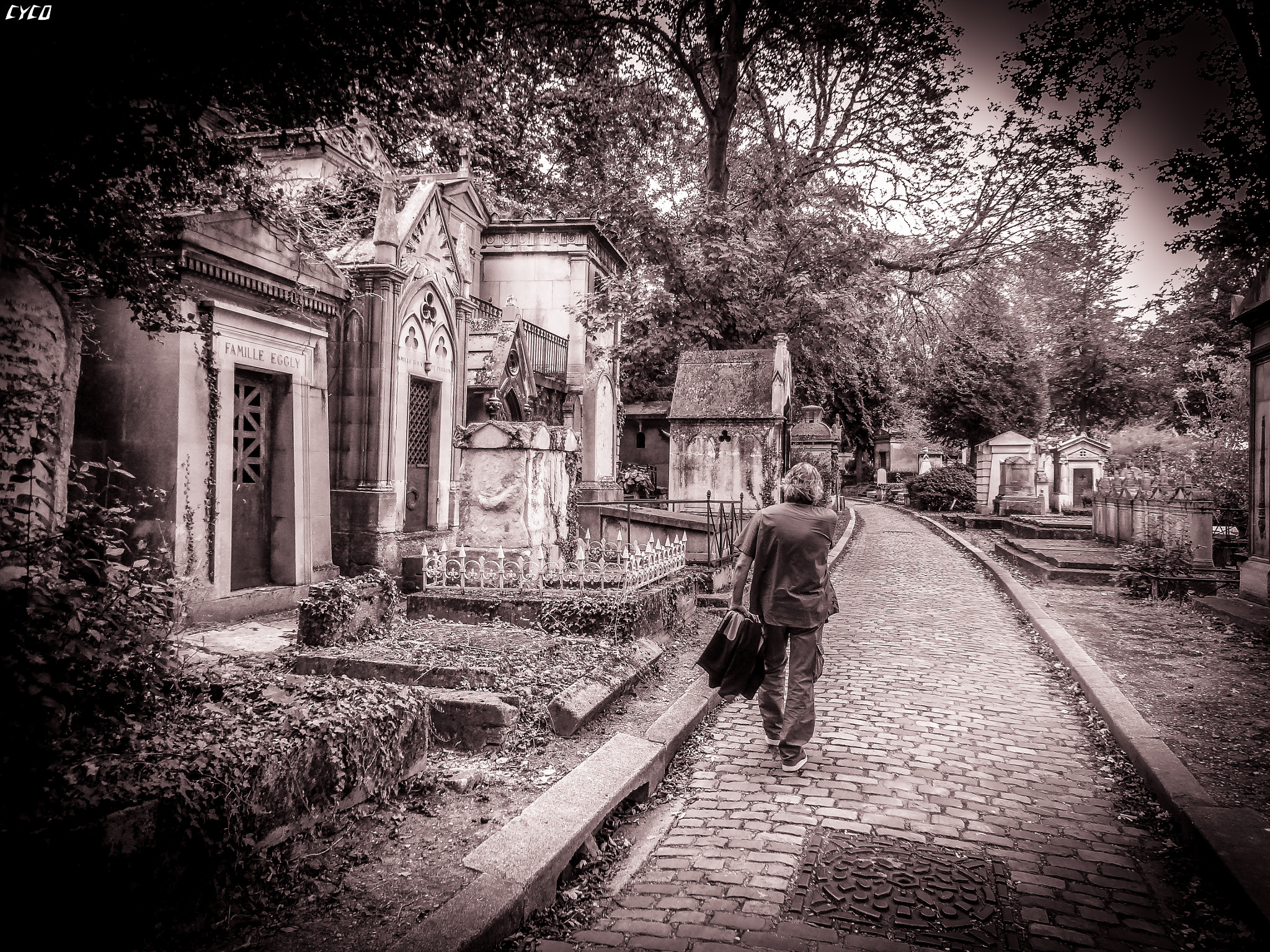 Sony DSC-WX10 sample photo. Père lachaise cemetery photography