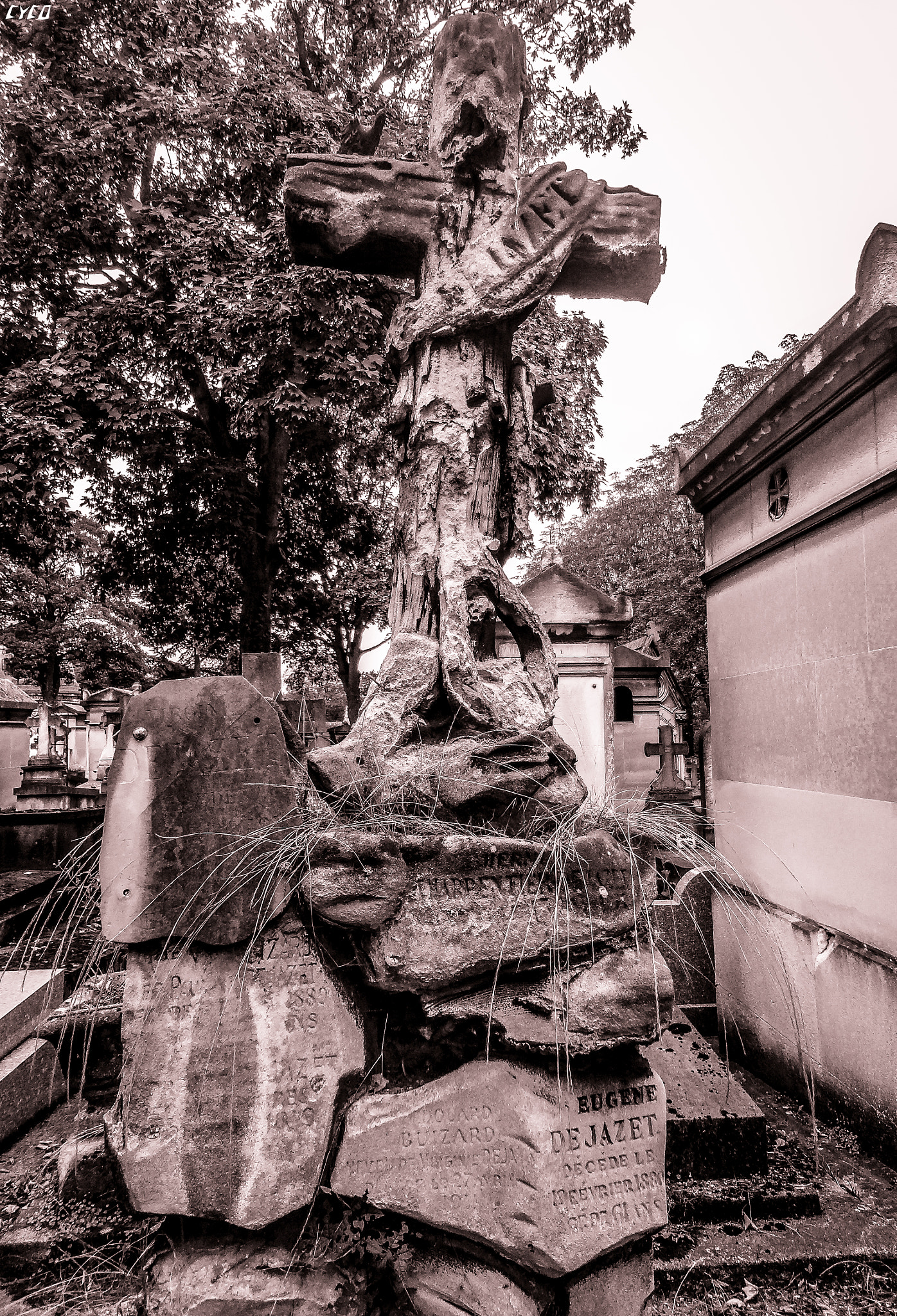 Sony DSC-WX10 sample photo. Père lachaise cemetery photography