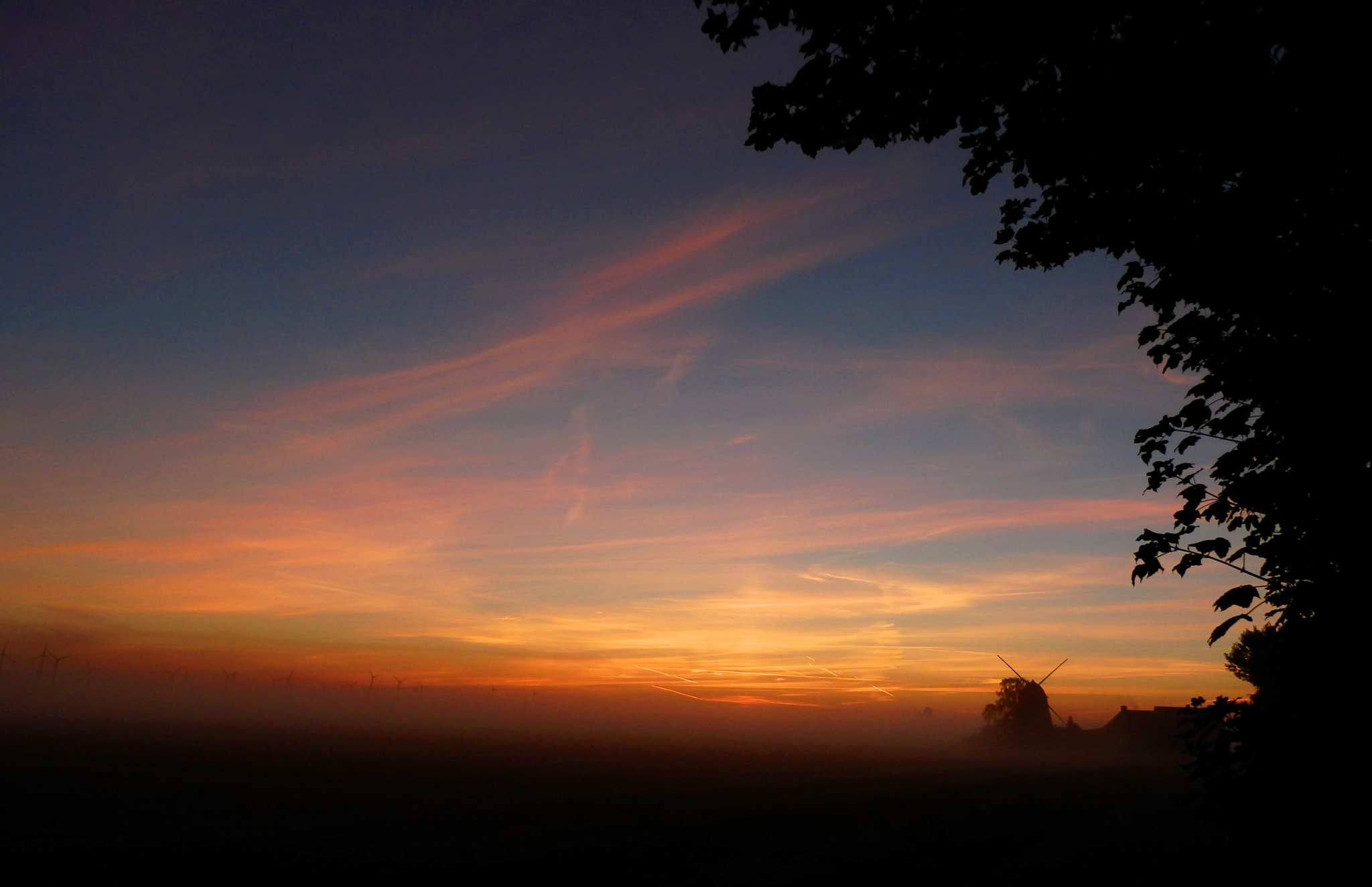 Olympus SZ-31MR sample photo. Before the sun rises photography
