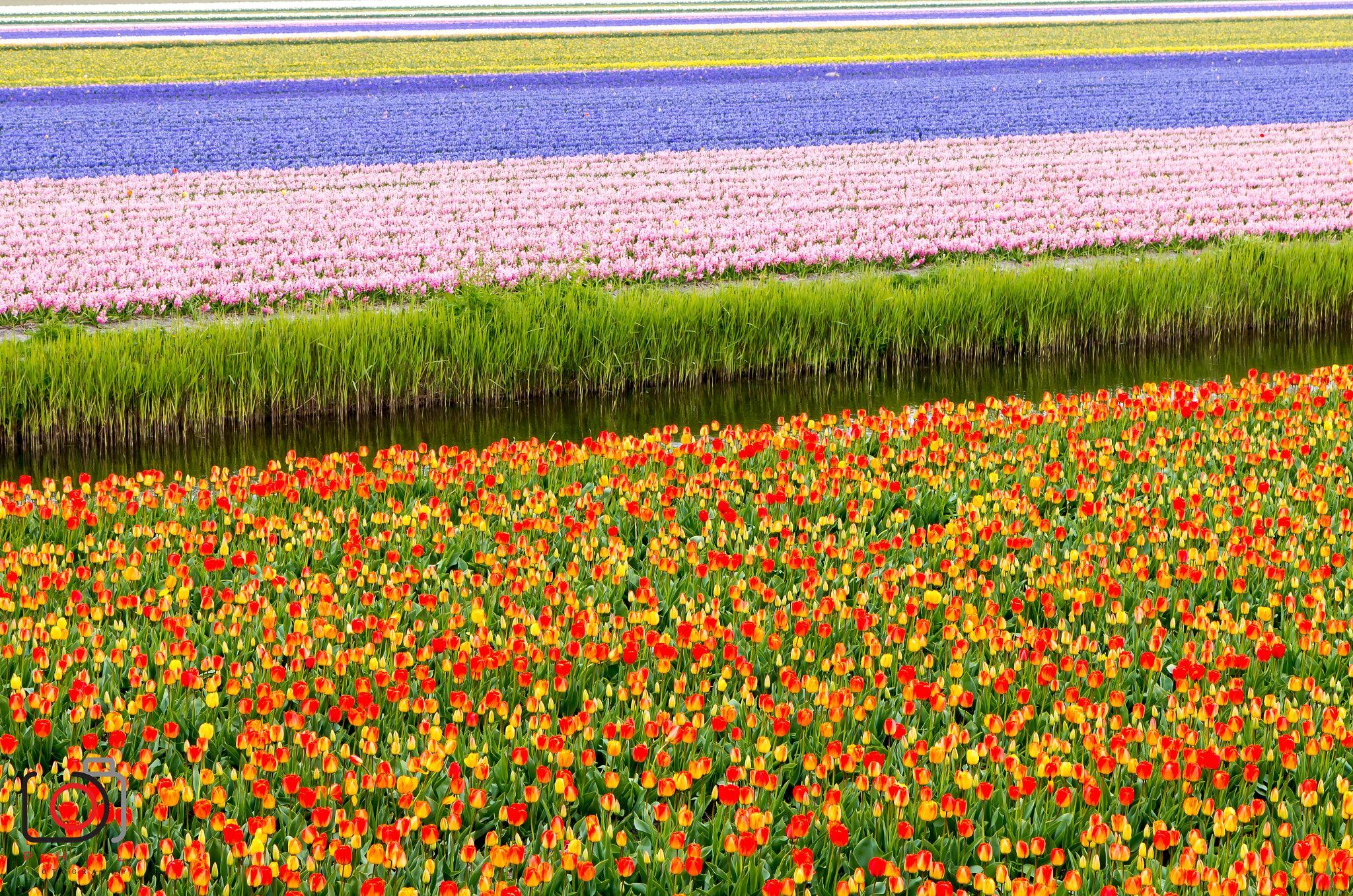 Canon EF-S 17-55mm F2.8 IS USM sample photo. Dutchpatchwork photography
