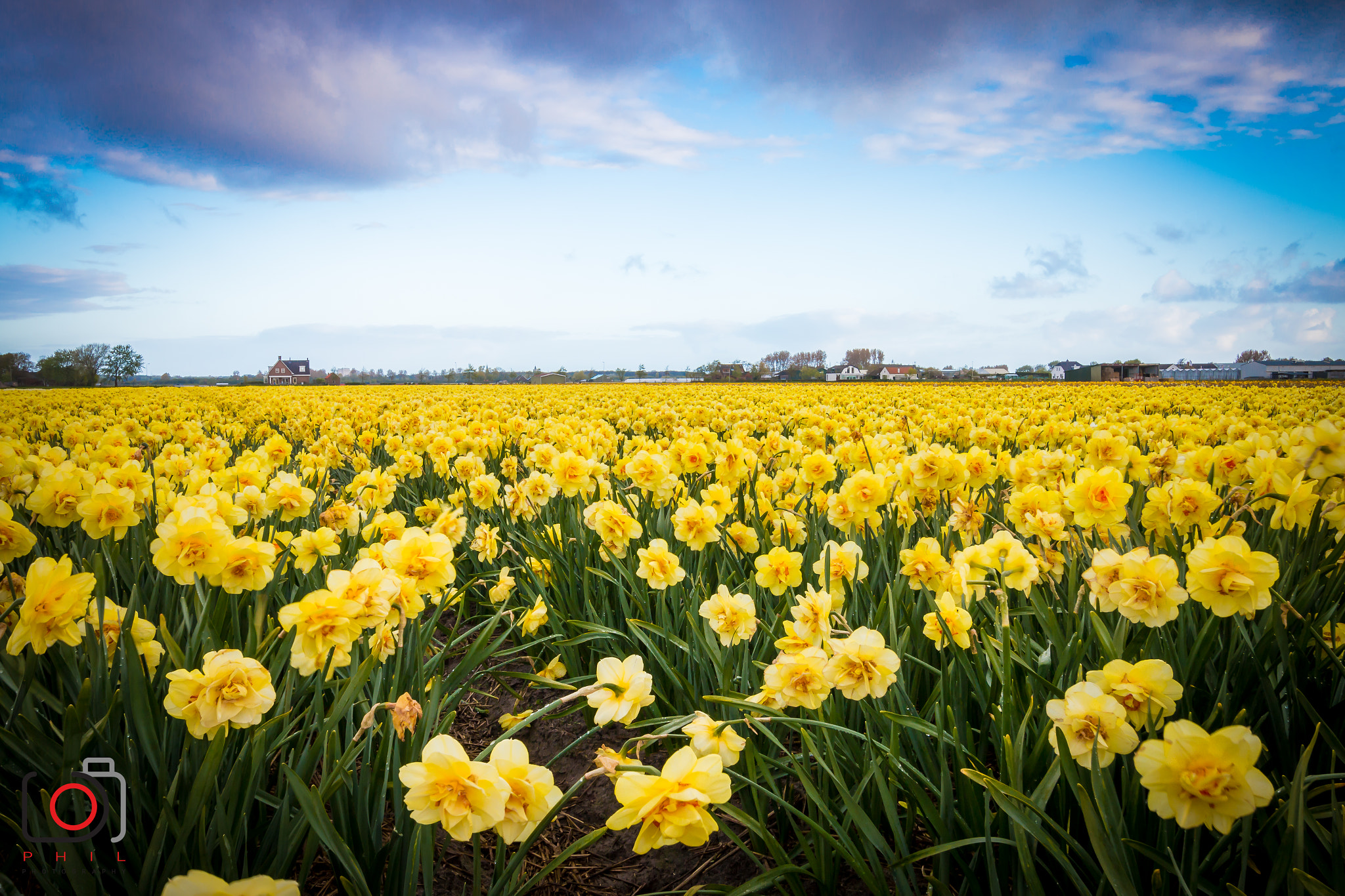 Canon EF-S 10-22mm F3.5-4.5 USM sample photo. Jonquillessky photography