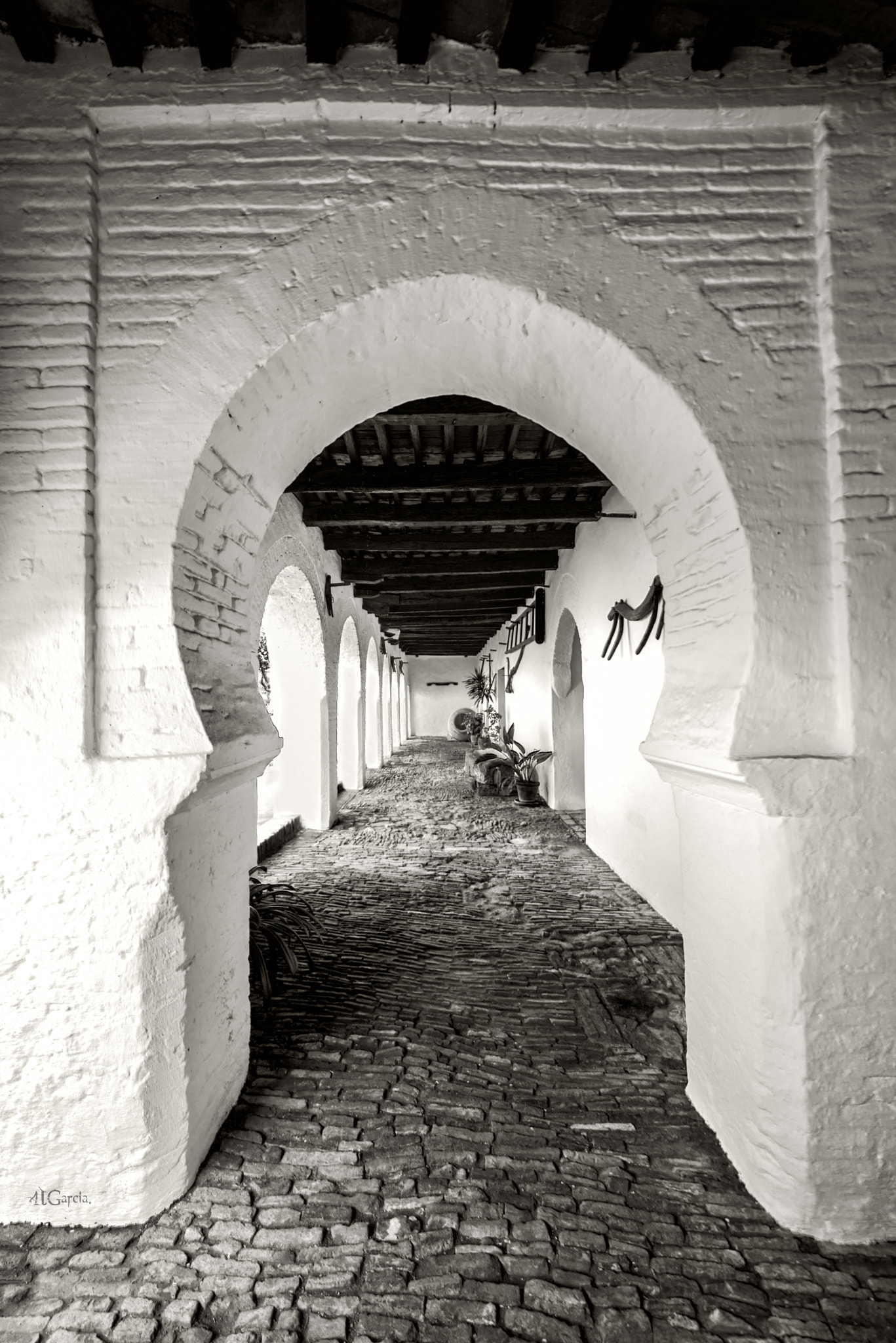 Samyang 14mm F2.8 ED AS IF UMC sample photo. Palacio de la duquesa de medina sidonia i photography