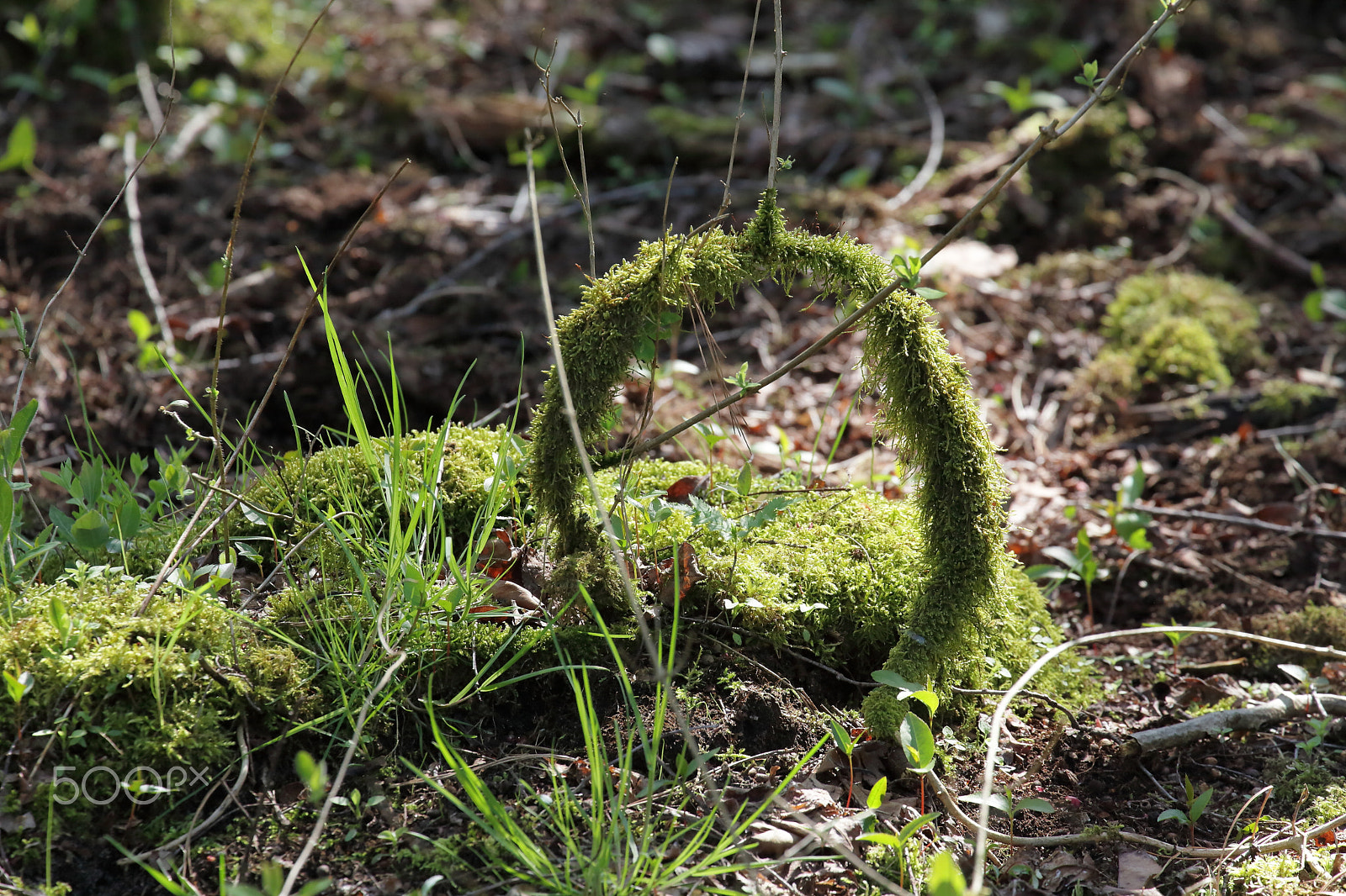 Canon EF 70-300mm F4-5.6L IS USM sample photo. Home of the hobbit photography