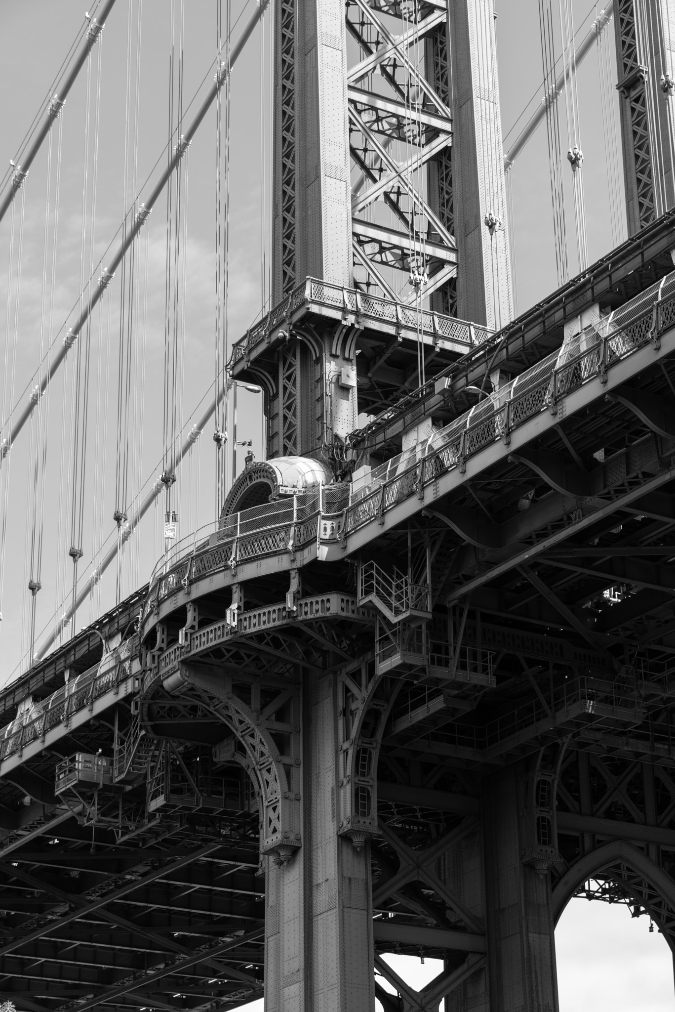 Nikon D800 sample photo. Fine structures photography