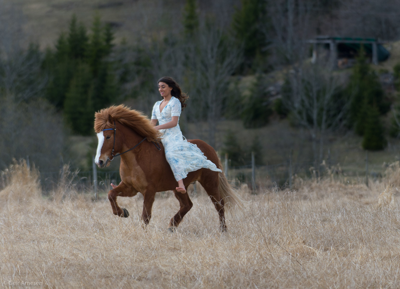 Nikon D4 sample photo. Horse riding girl photography