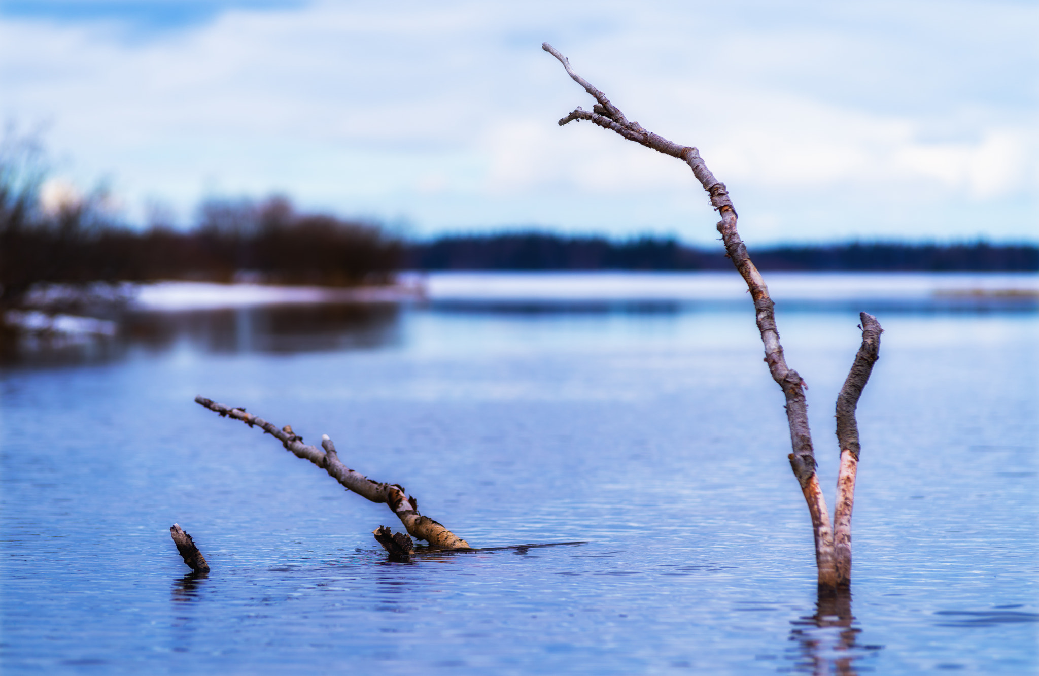 Pentax K-1 + Tamron SP AF 70-200mm F2.8 Di LD (IF) MACRO sample photo. Old tree in lake photography