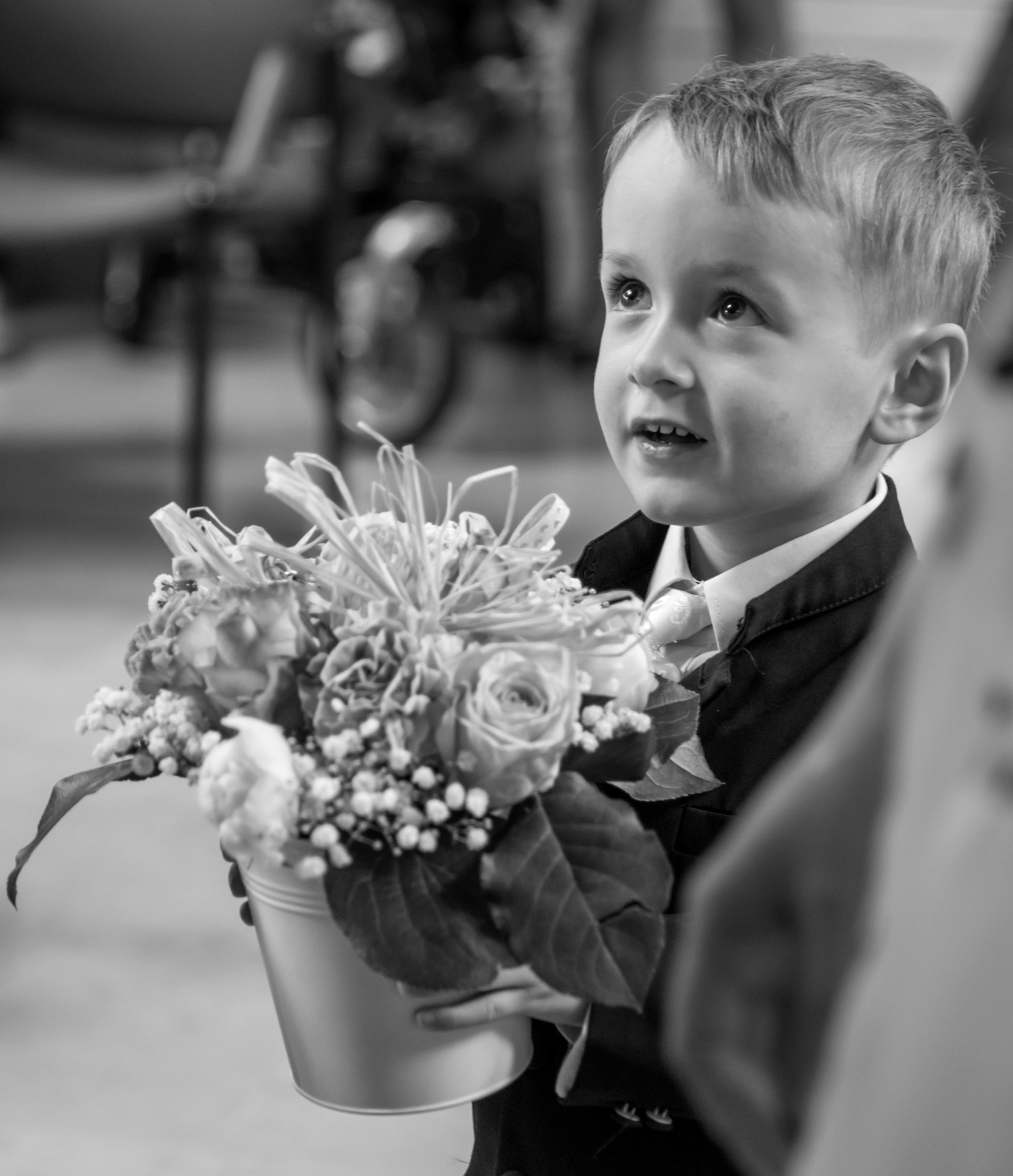 Canon EF 24-70mm F2.8L II USM sample photo. Oui photography