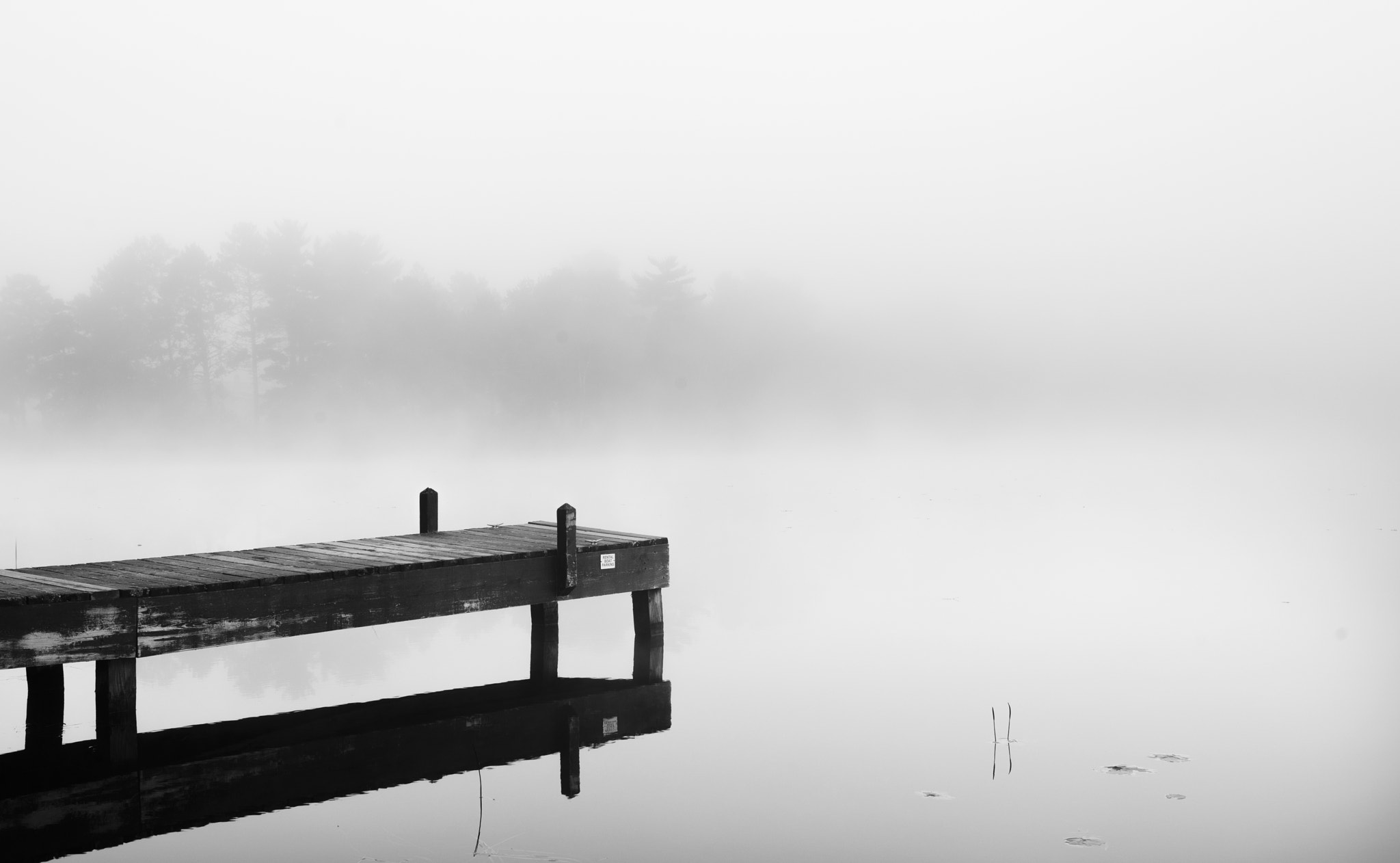 Nikon D800 + Nikon AF-S Nikkor 35mm F1.4G sample photo. Eagle lake photography