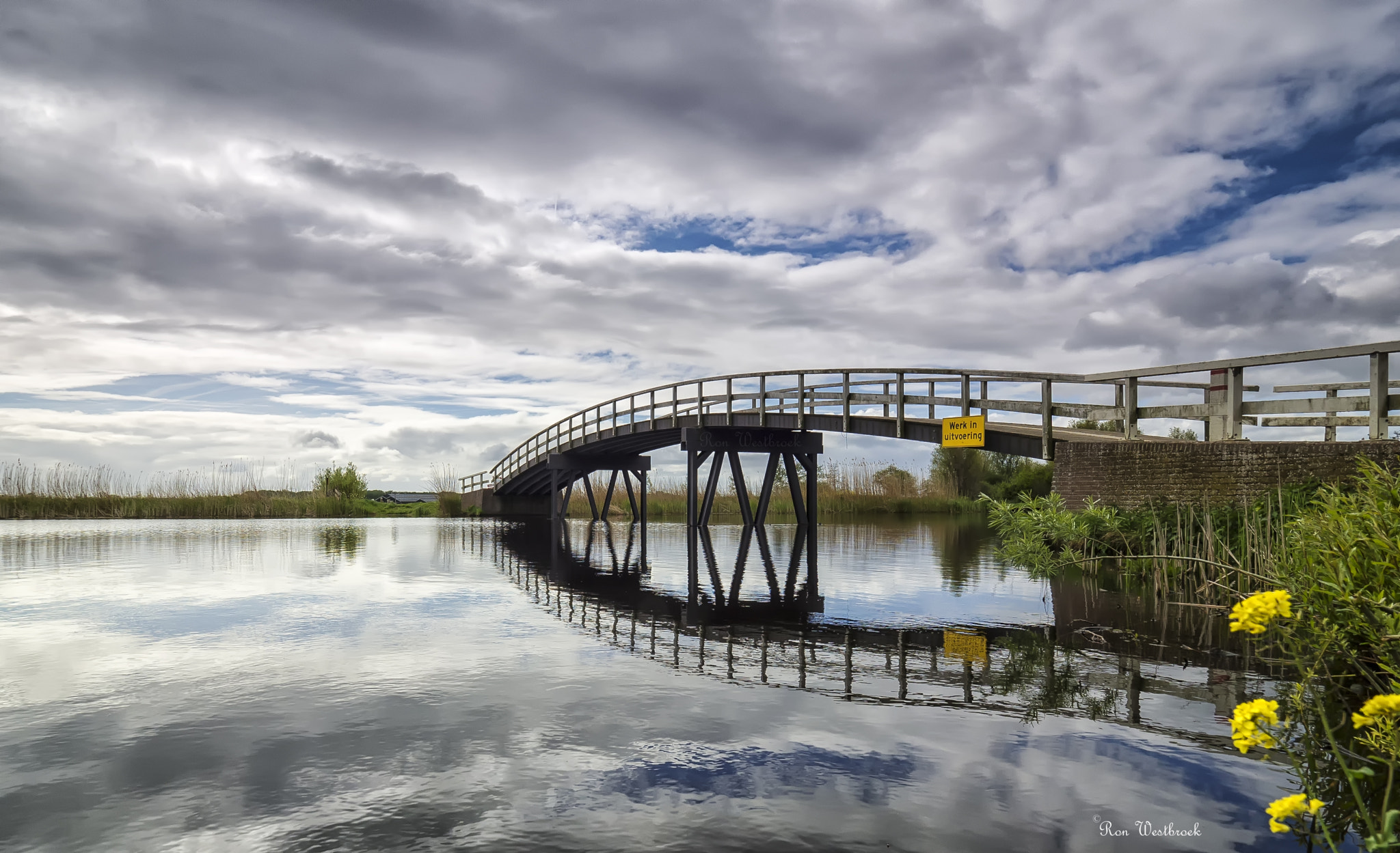 Olympus OM-D E-M10 II sample photo. Bridge photography