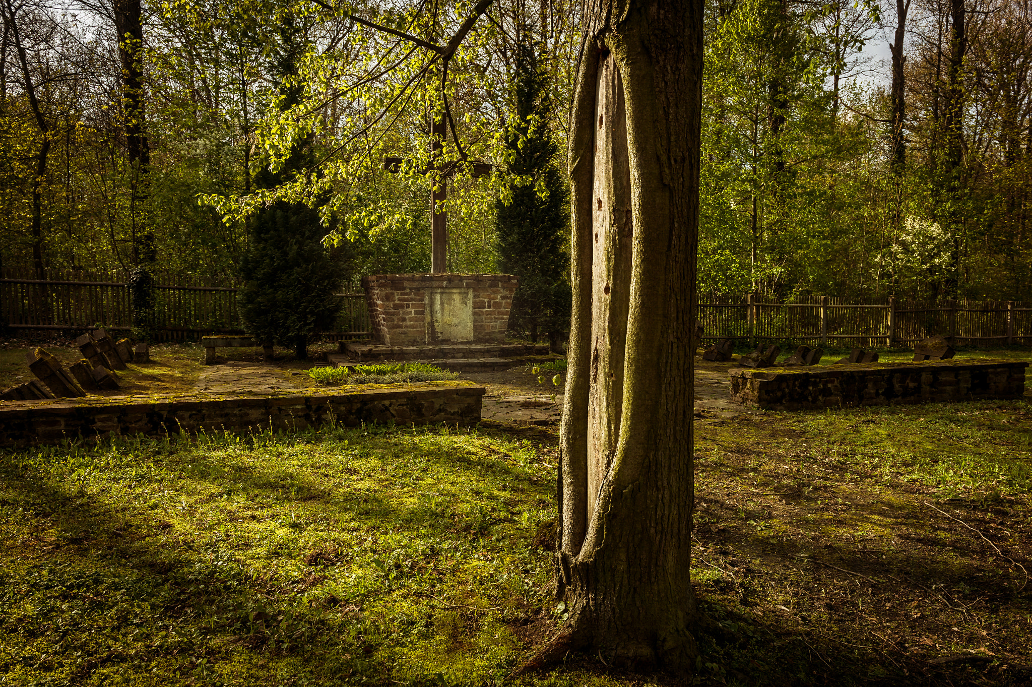 Nikon AF-S Nikkor 24-70mm F2.8G ED sample photo. Old churchyard photography